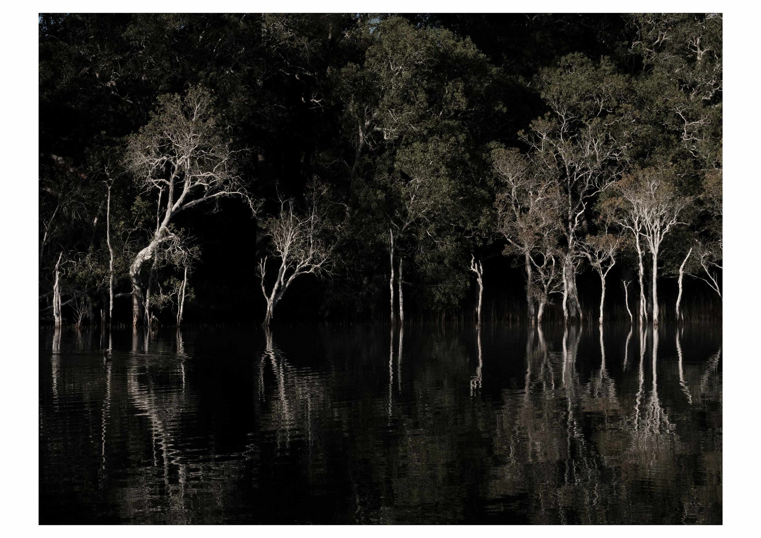 GINTY,-Genevieve---Salt-lake-#1-NSW.jpg