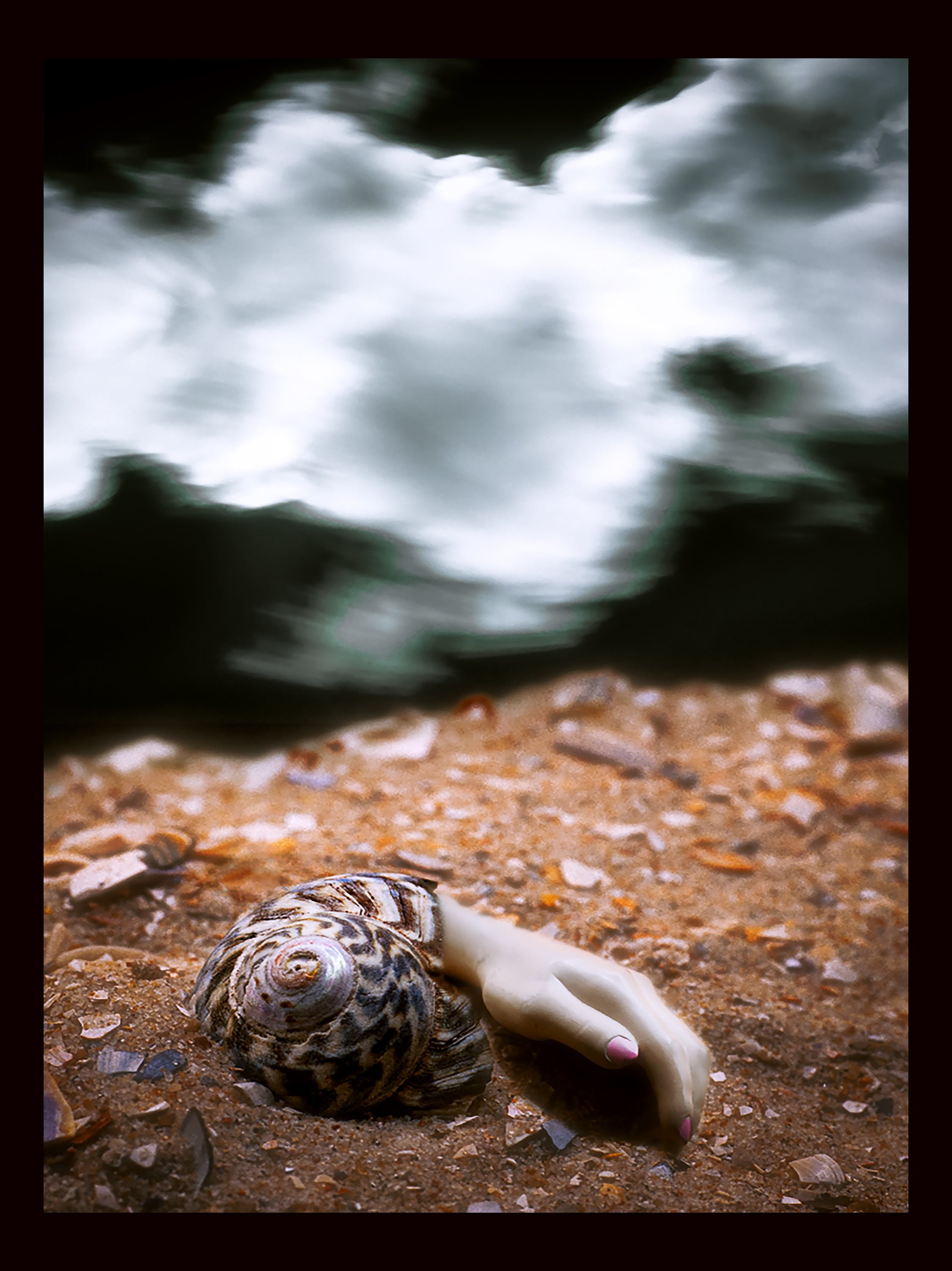Jasmine-Chalmers-Hand-Shell.jpg