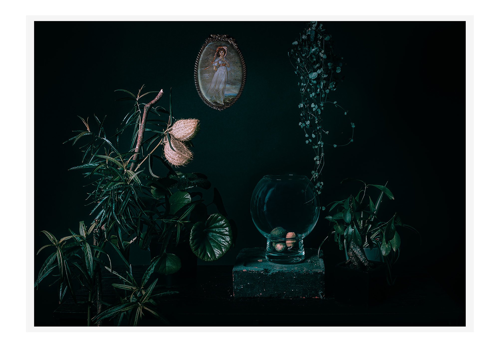 Jasmine-Chalmers-Interior-growth.jpg