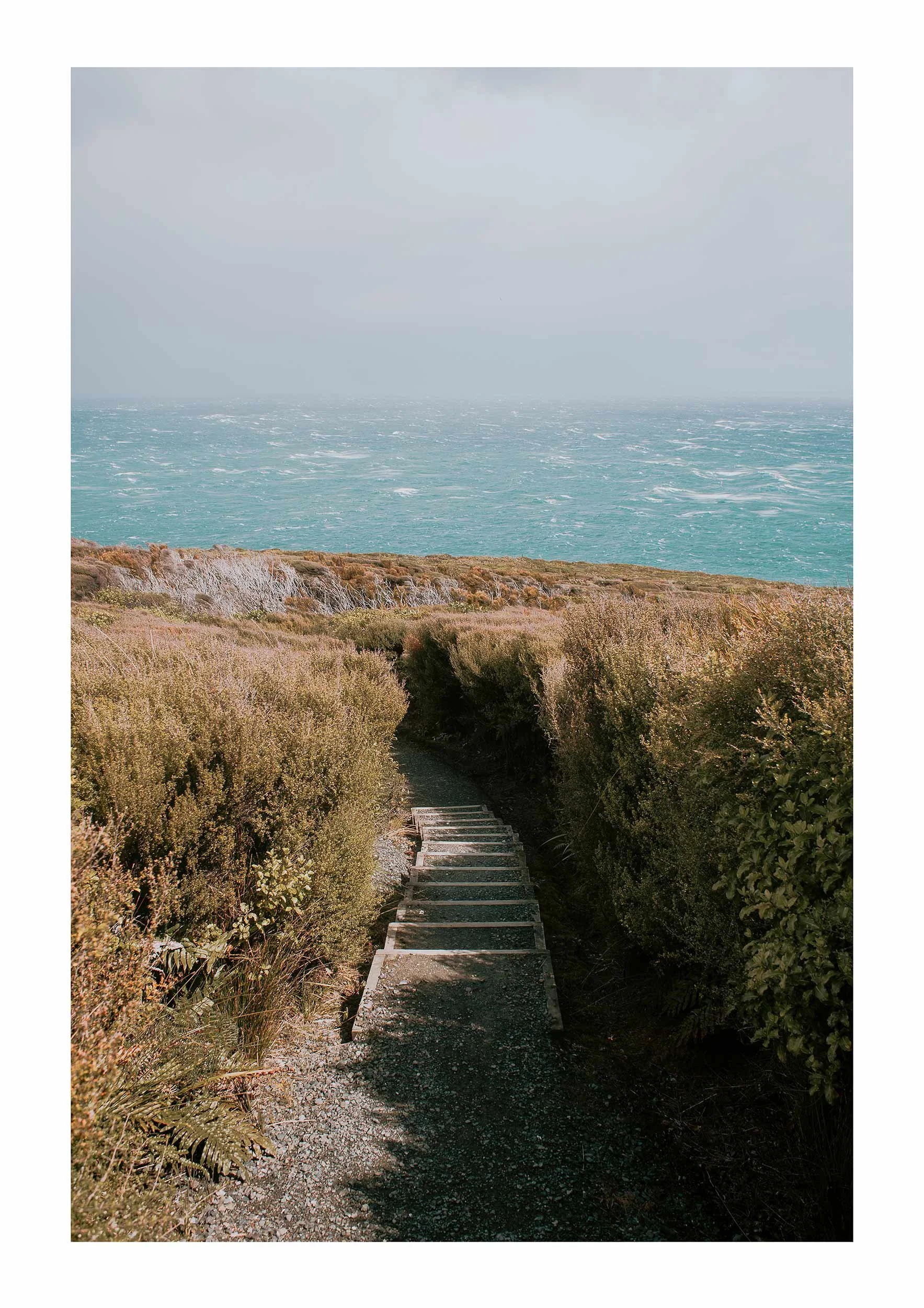 AngelaFerro_WindsweptPath.jpg