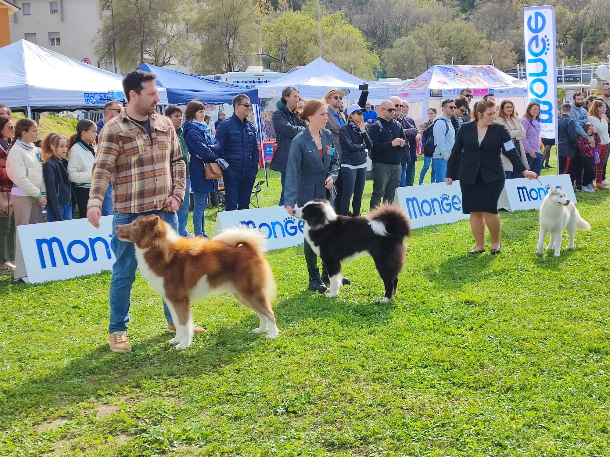 WhatsApp Image 2023-04-03 at 14.51.46.jpeg