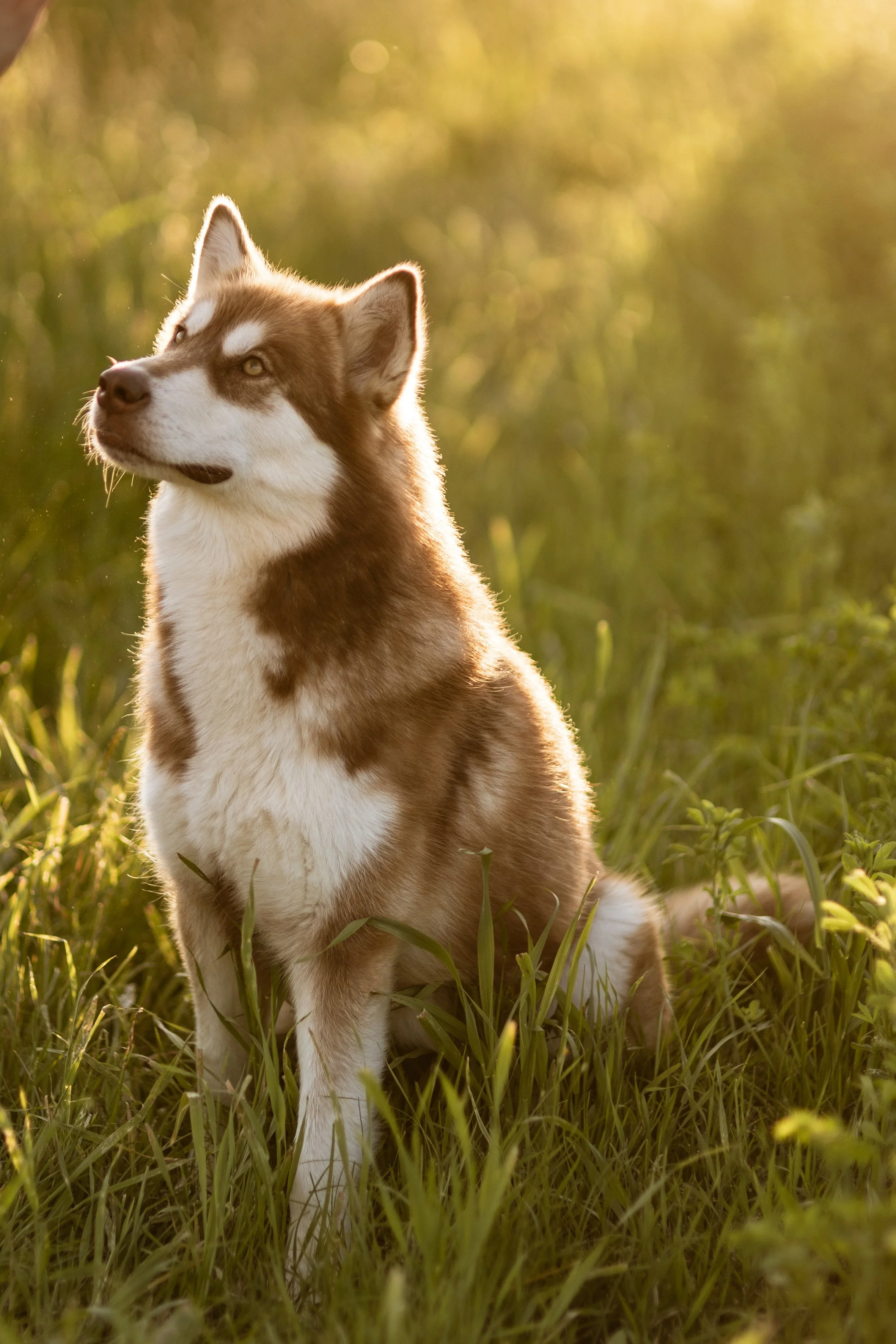 Giulia & Katla-31.JPEG