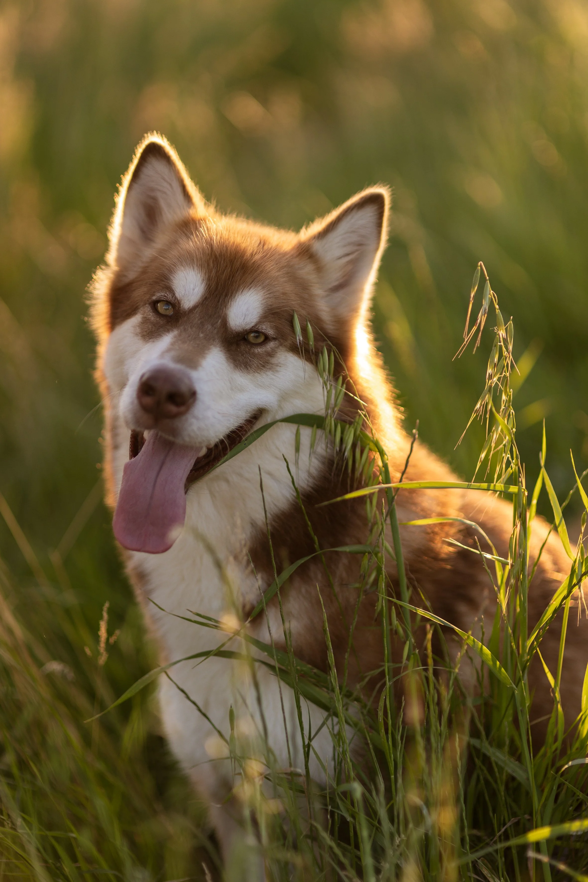 Giulia & Katla-37.JPEG