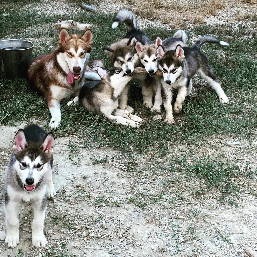 73e9148d-43bf-406c-bbb3-a94d8745e875.jfif