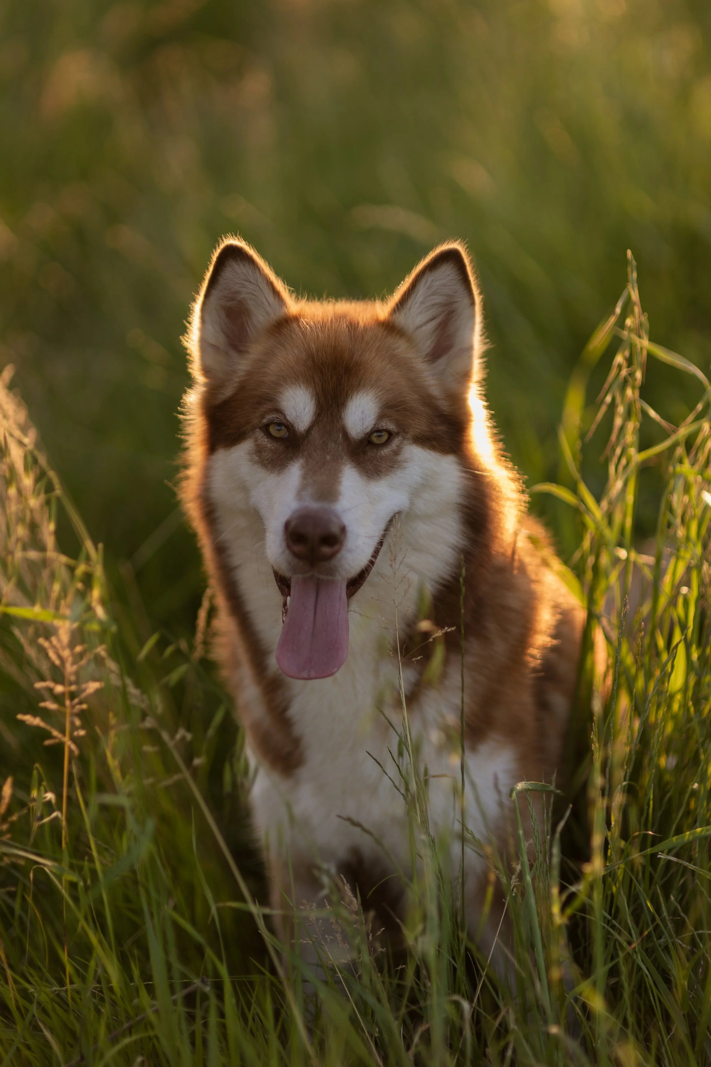 Giulia & Katla-39.JPEG