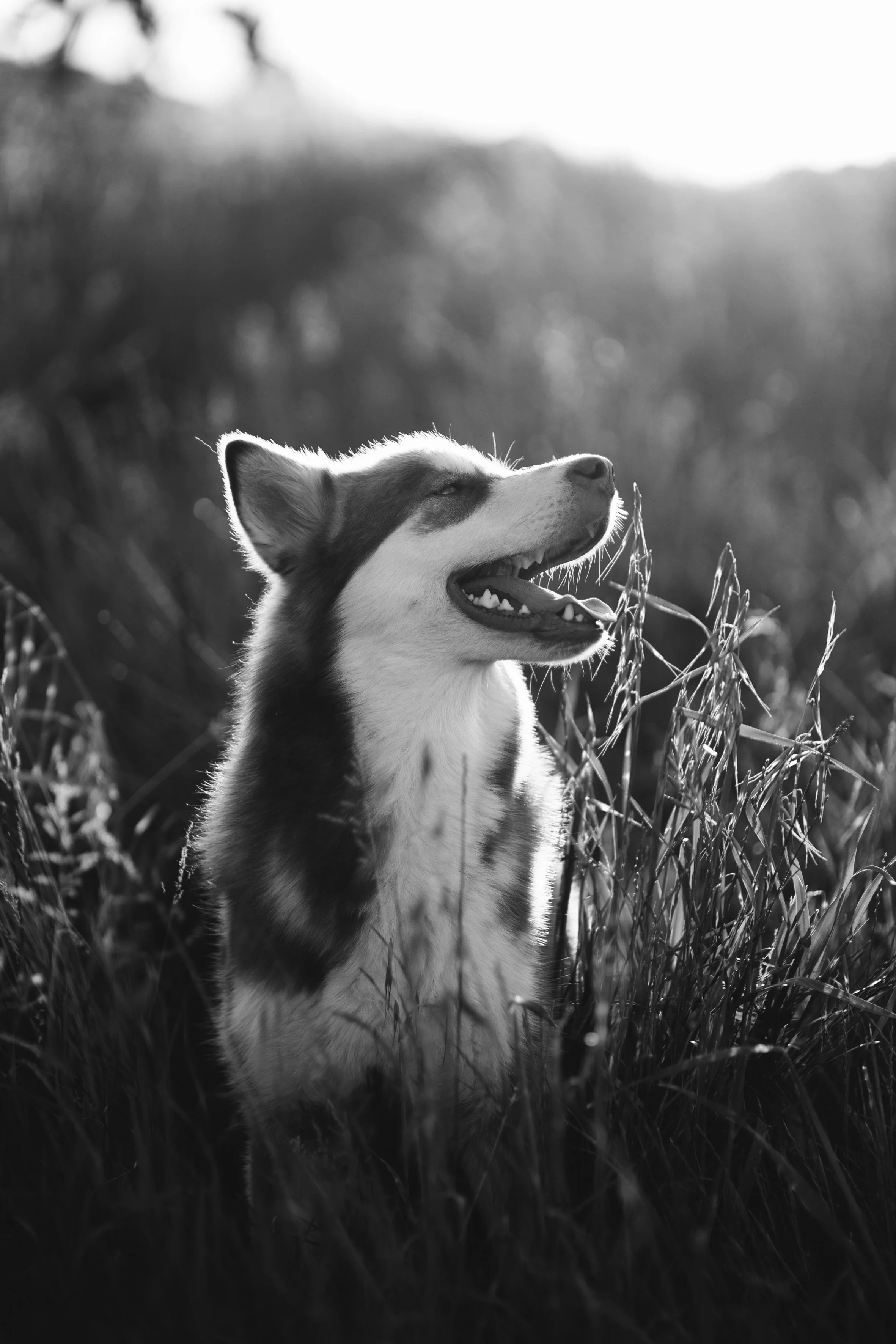 Giulia & Katla-41.JPEG