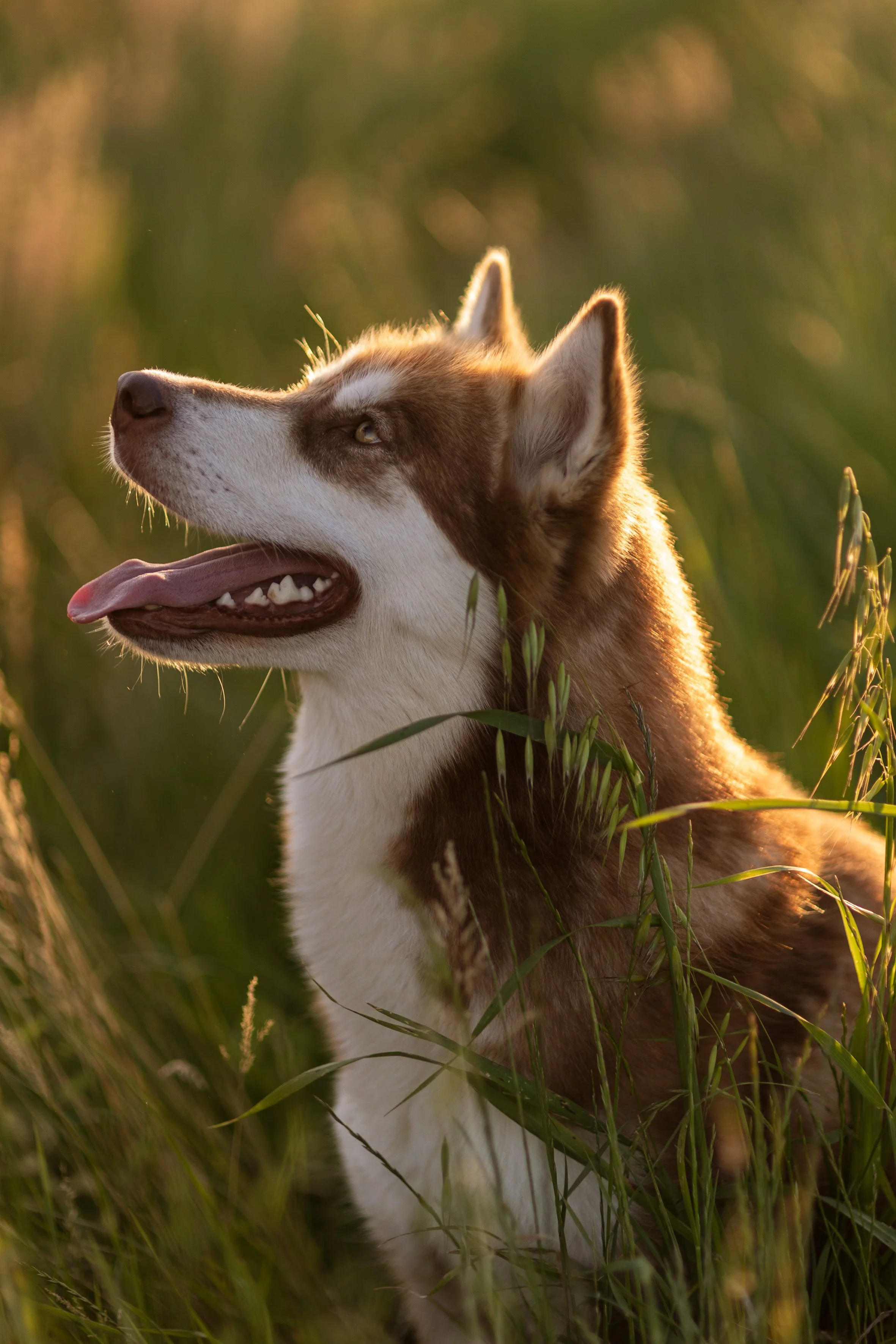 Giulia & Katla-36.JPEG