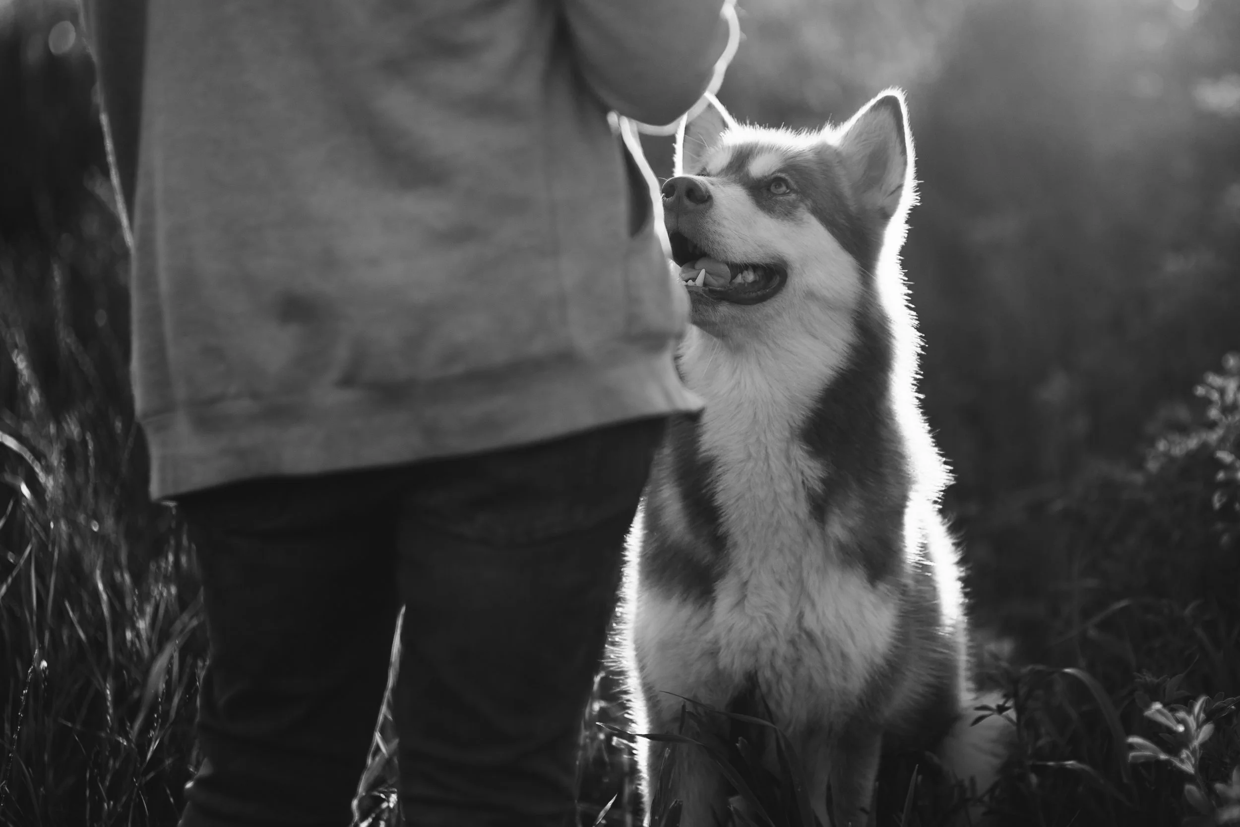 Giulia & Katla-30.JPEG