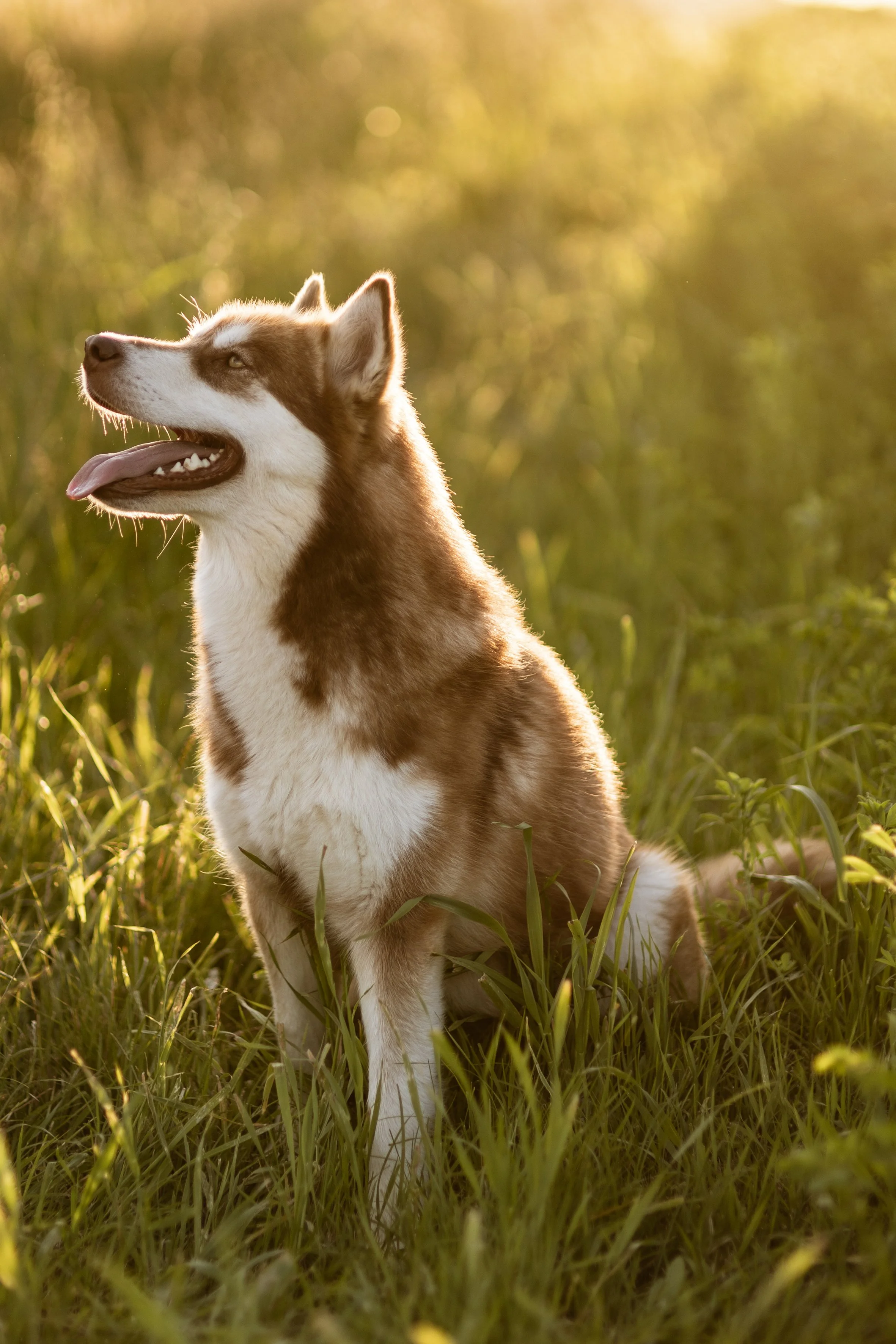 Giulia & Katla-32.JPEG