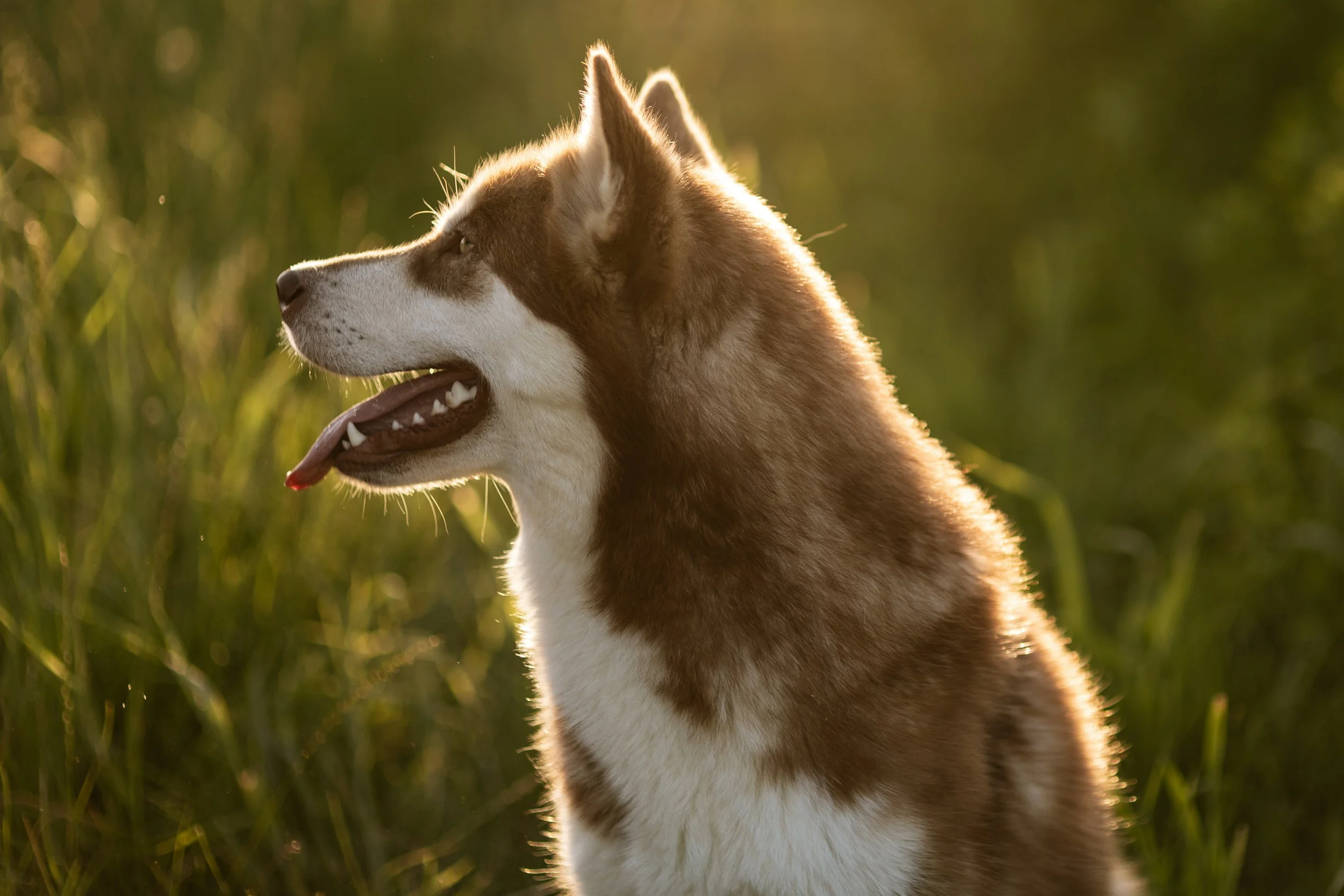 Giulia & Katla-33.JPEG