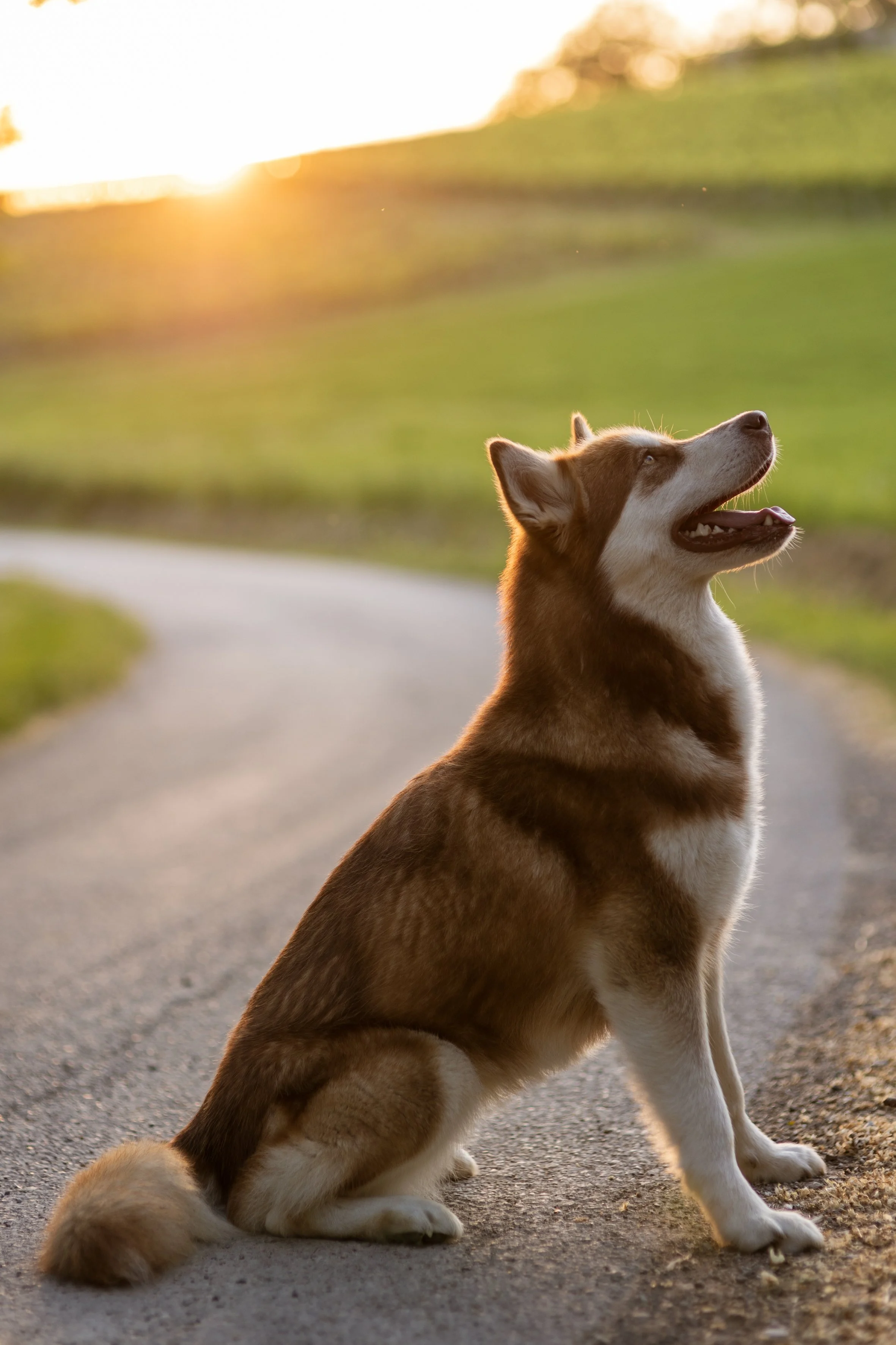 Giulia & Katla-68.JPEG