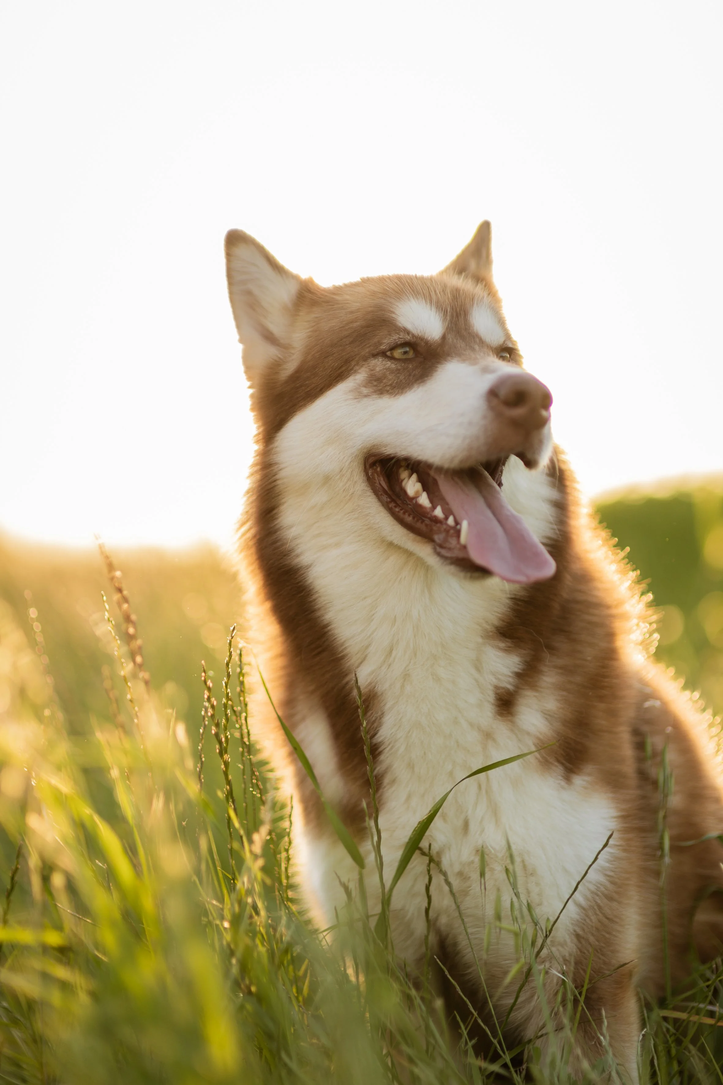 Giulia & Katla-35.JPEG