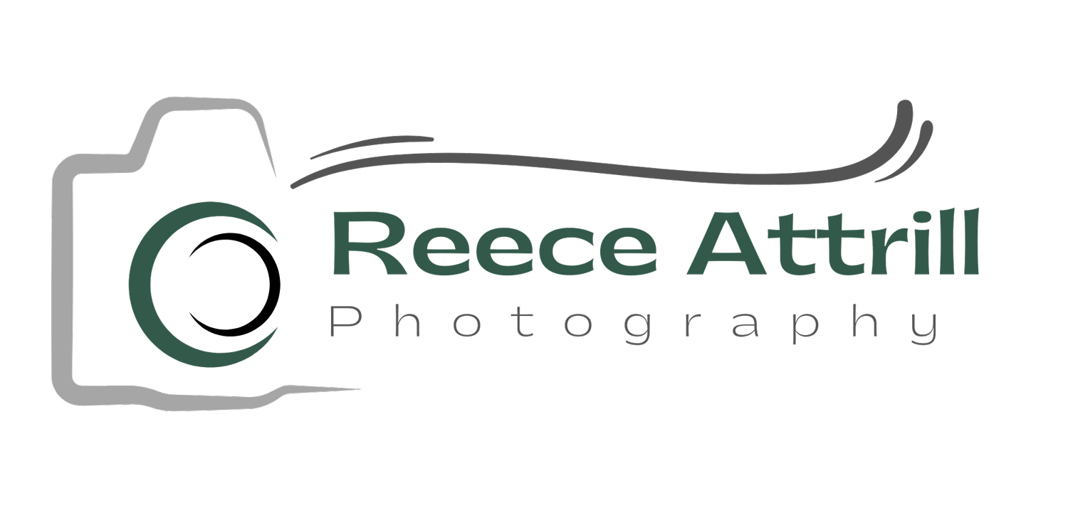 Reece Attrill Photography 