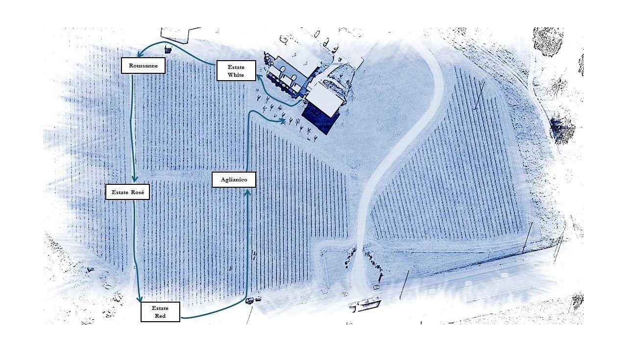 We can&rsquo;t help but notice it&rsquo;s going to be PERFECT weather for Blessing of the Vines this weekend! 🤩 Here&rsquo;s the map for our progressive Estate wine tour through the vineyard. We hope to see you all on Sunday! 

Reserve your Estate W