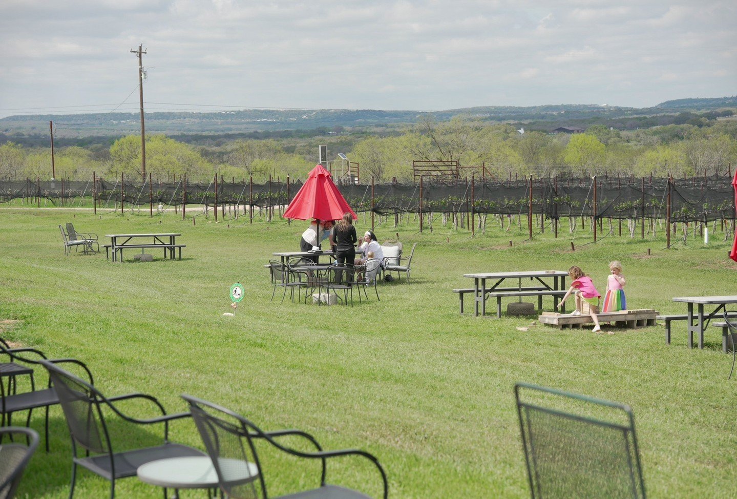 It's a beautiful day in the hill country! Come see us and enjoy this perfect weather. 🍷