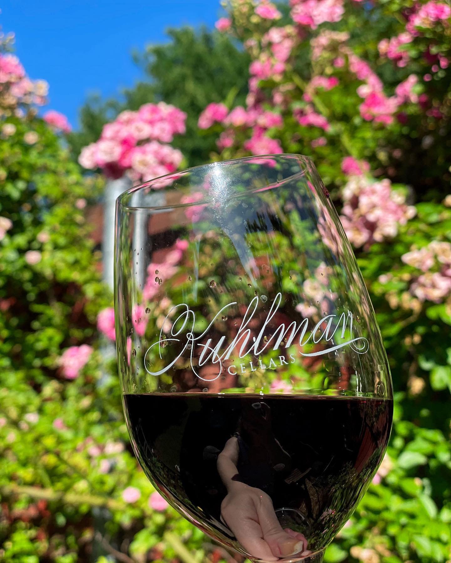 What&rsquo;s better than Texas wine and blue skies? 🤩🍷☀️