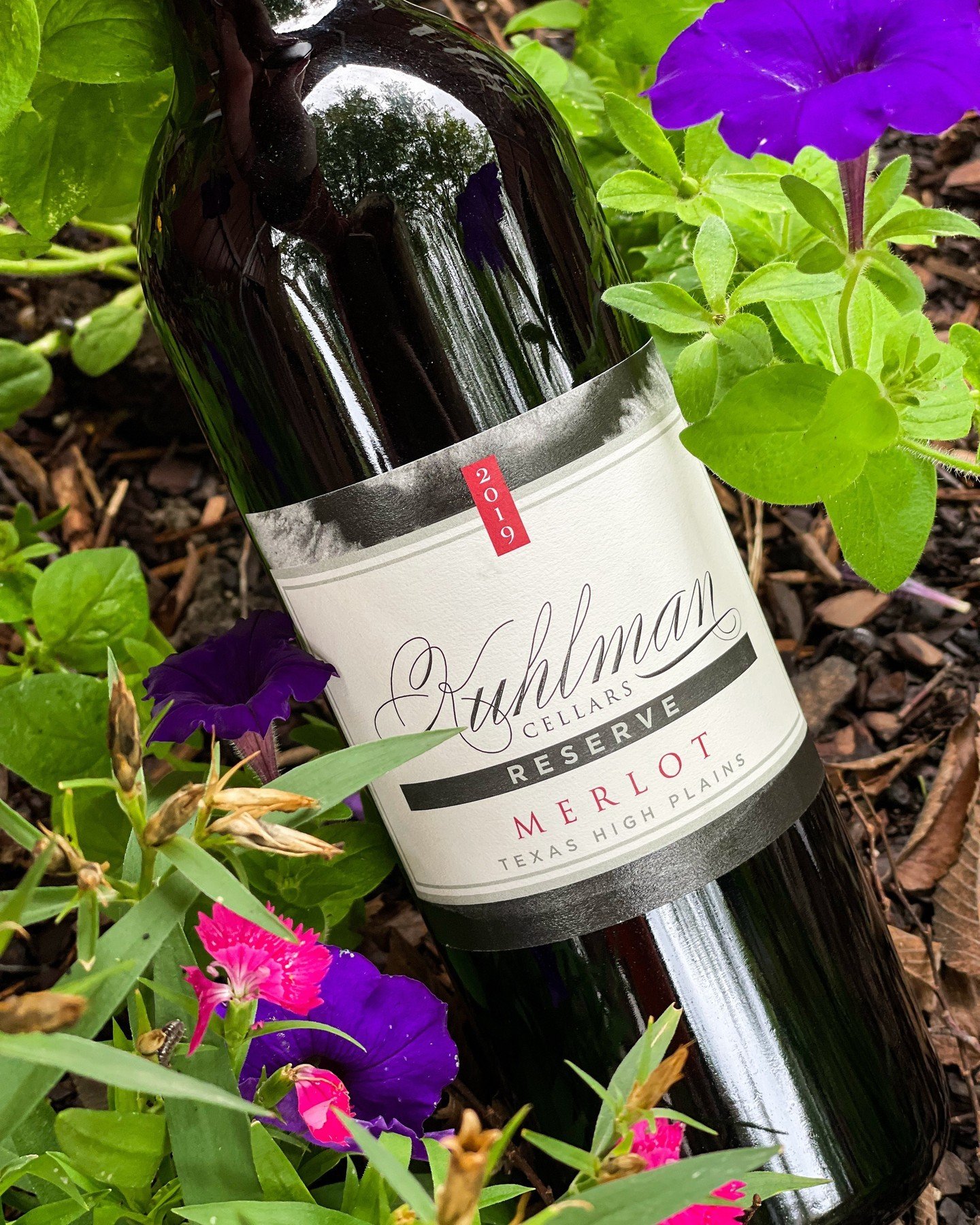 Our 2019 Reserve Merlot has aromas of oak, coffee and cocoa. This beautiful wine was aged in French oak barrel and has notes of Maraschino cherry, maple syrup and vanilla. 

Shop our wines on kuhlmancellars.com or pick up a bottle the next time you'r