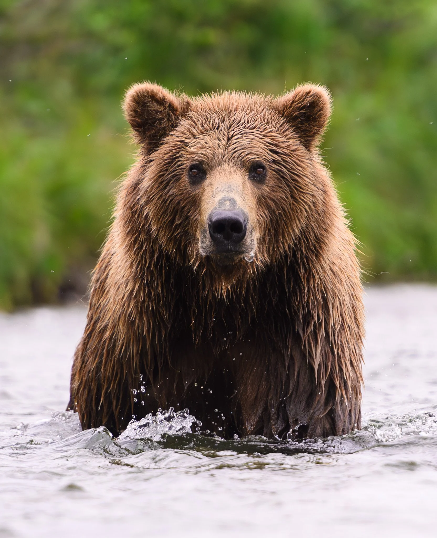 DSC_9411-Enhanced-NR 2.JPG