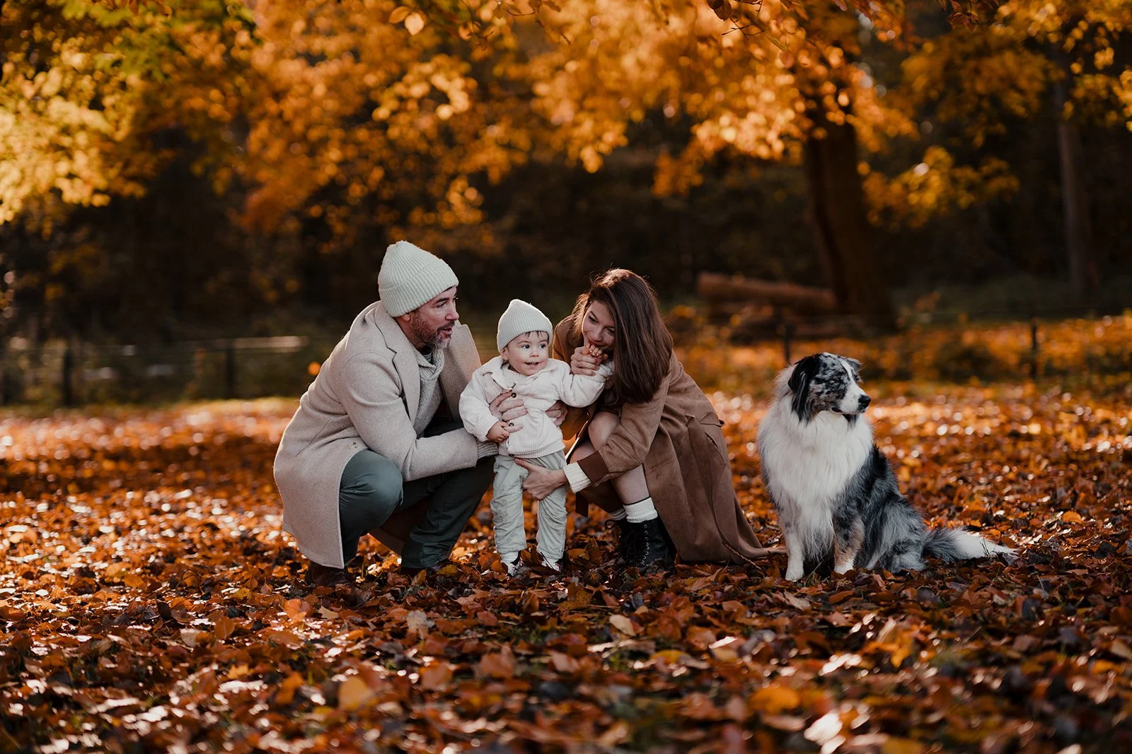Une famille avec deux adultes, un enfant et un chien, dans un parc en automne avec des feuilles oranges au sol. La famille semble heureuse, l'enfant tient la main de la mère, et le chien est assis à côté d'eux.
