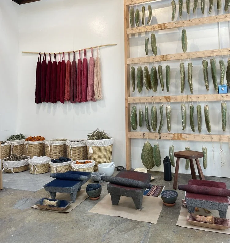 April | Medicinal Dye Plants