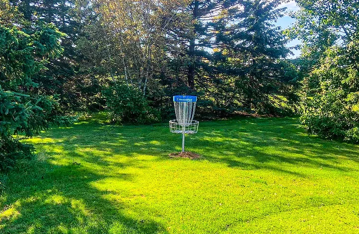 Darnley Disc Golf