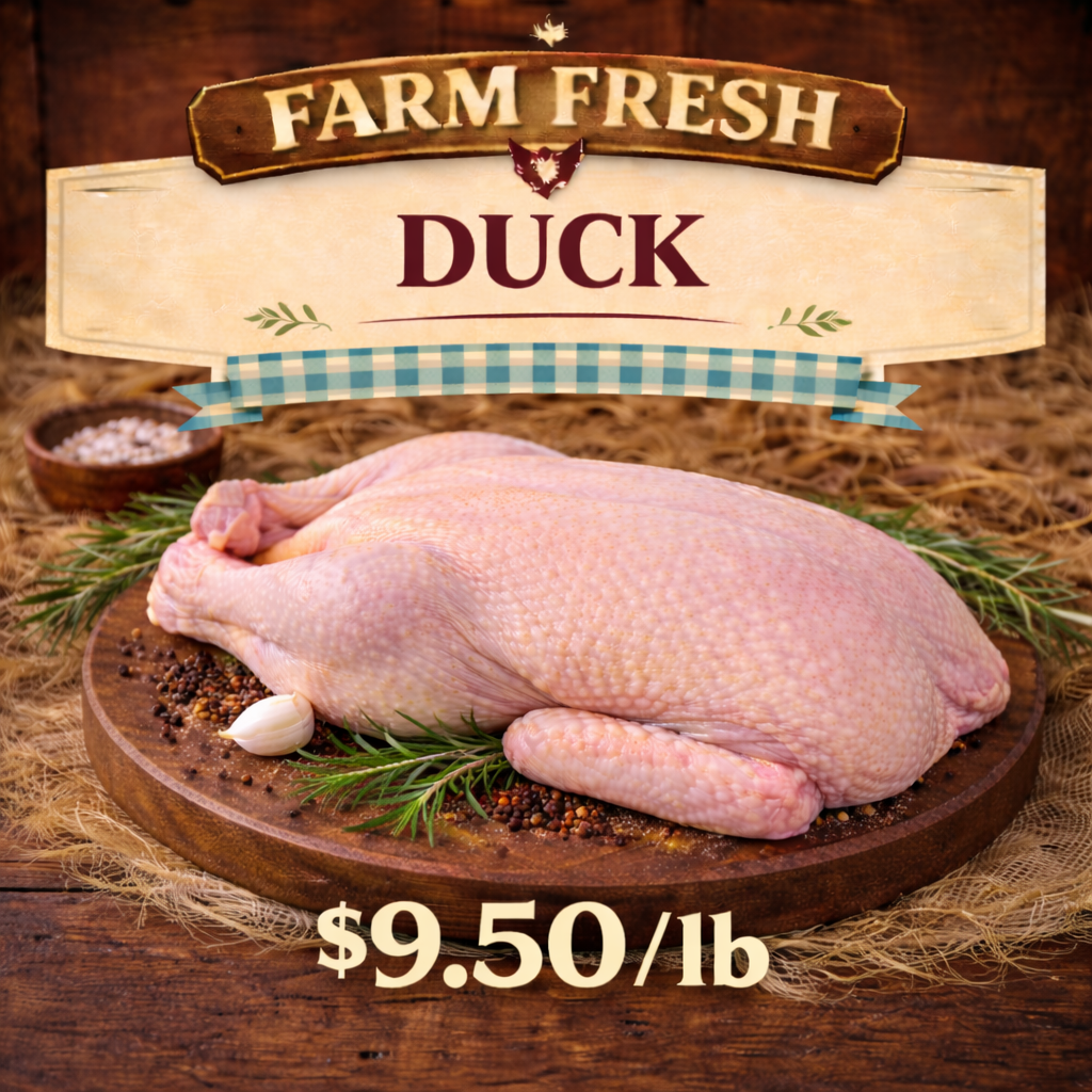 Whole Processed Duck