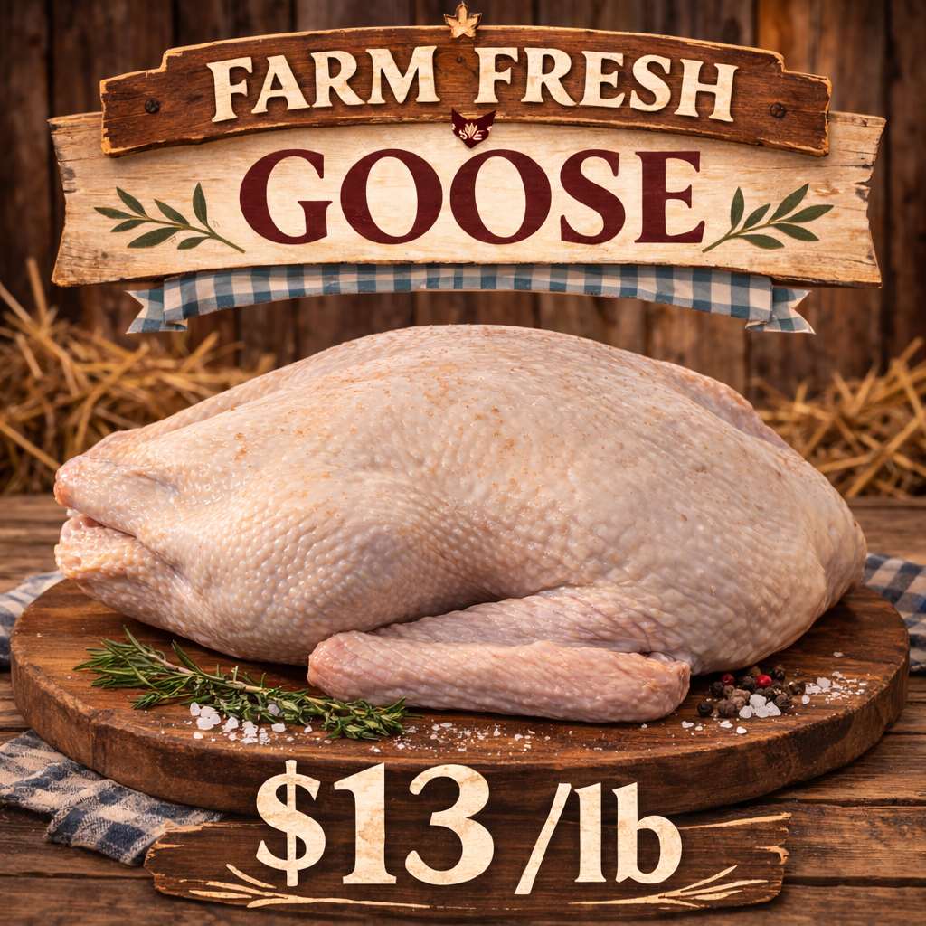 ChatGPT Image Mar 13, 2026, 01_11_40 PM.png