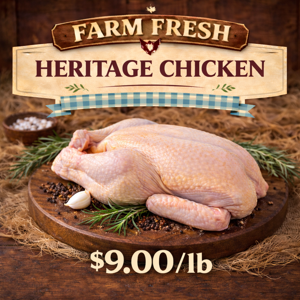 ChatGPT Image Mar 13, 2026, 12_51_39 PM.png