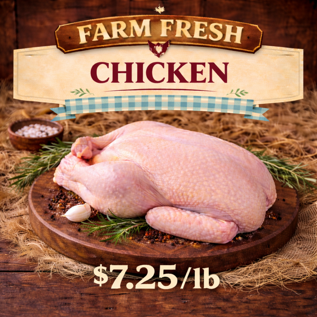 ChatGPT Image Mar 13, 2026, 12_50_25 PM.png