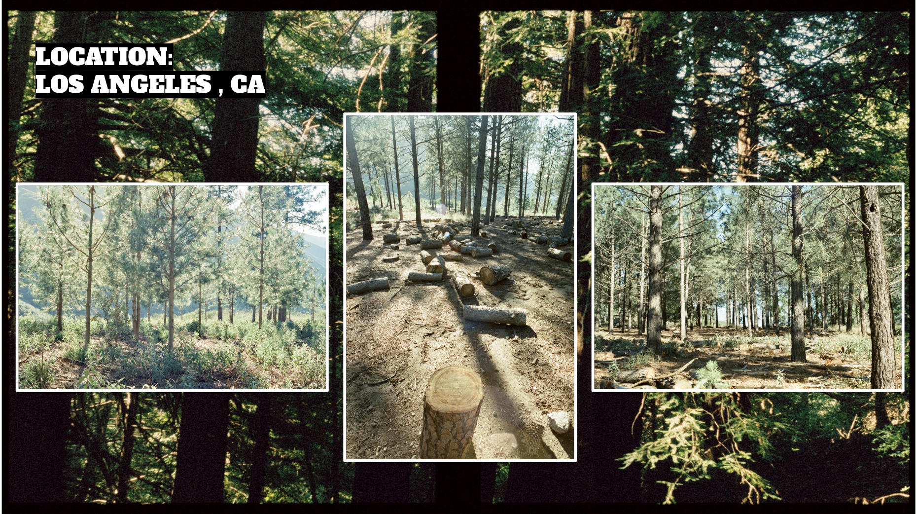 Screenshot 2026-01-14 at 6.50.46 PM.png