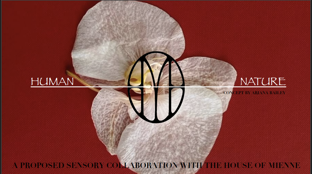 Screenshot 2026-01-14 at 7.40.06 PM.png