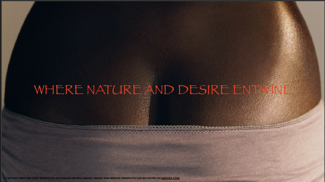 Screenshot 2026-01-14 at 7.40.47 PM.png