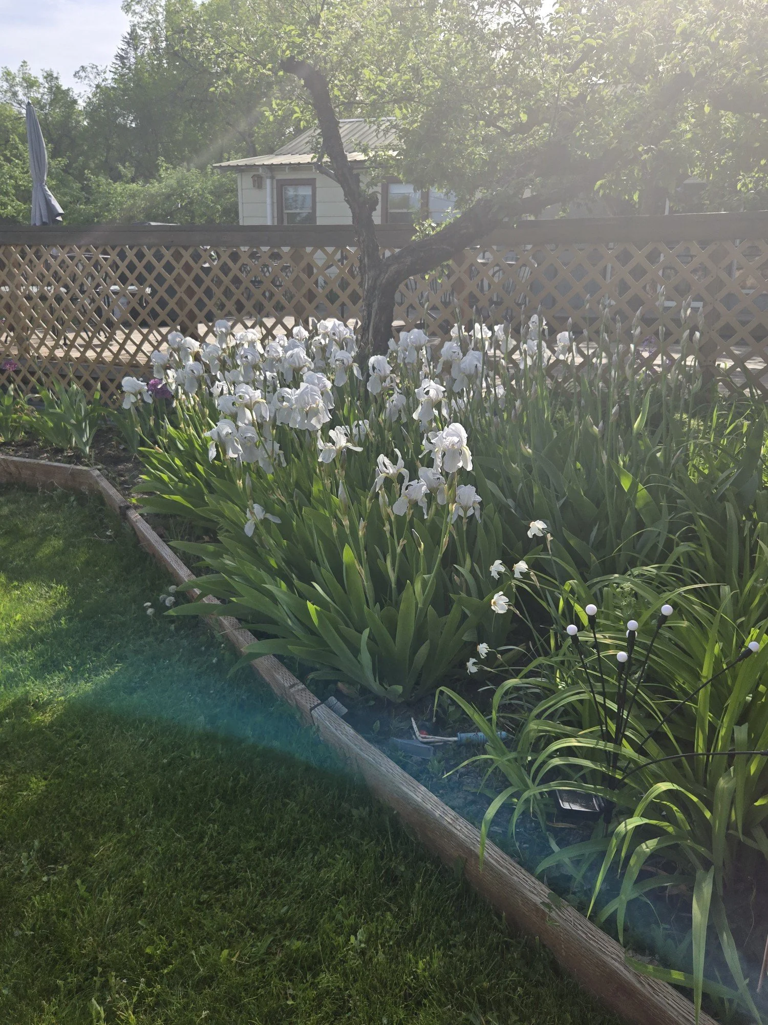 Resized_20260512_164442.jpeg