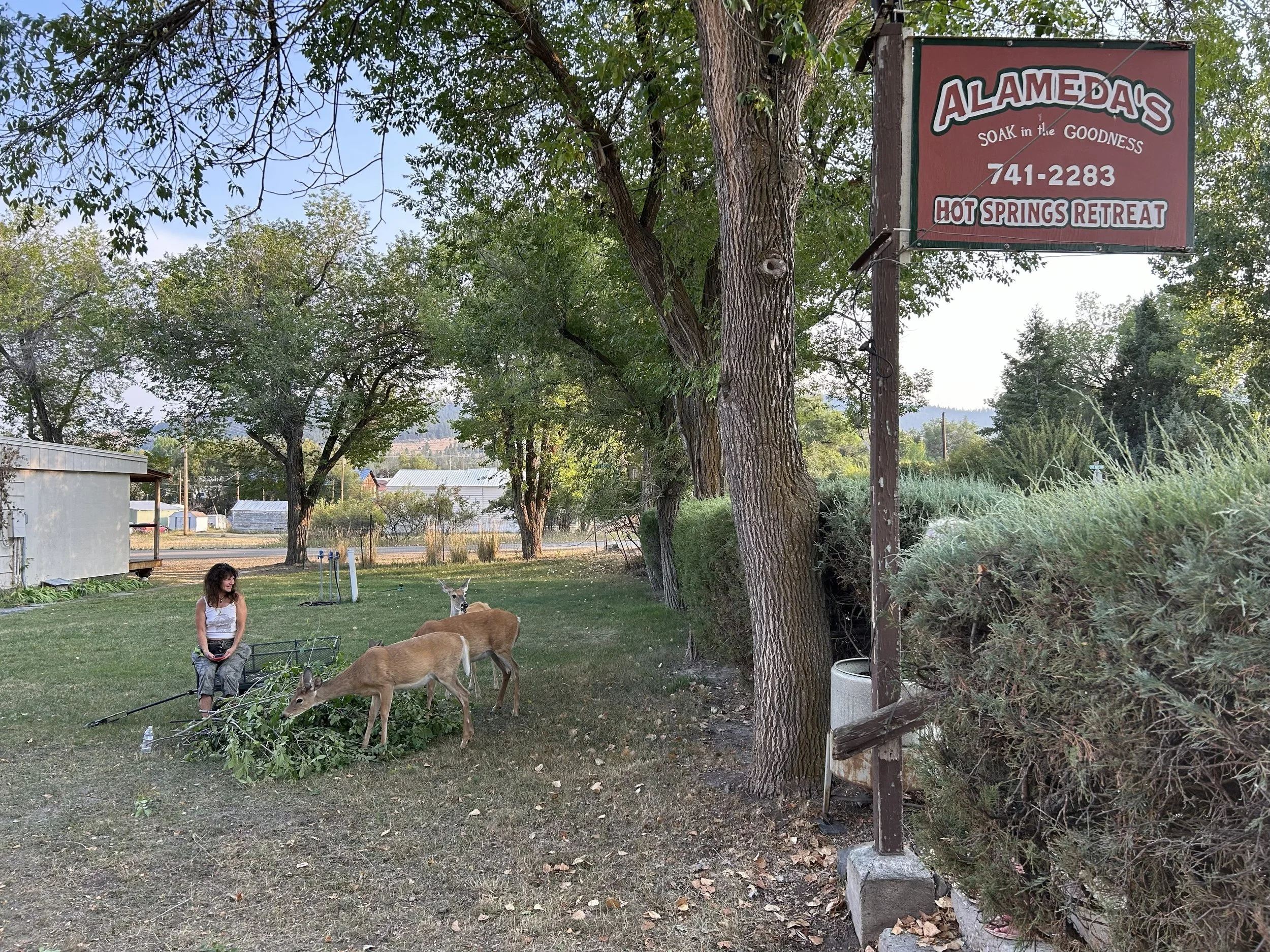 Rachel w deer.jpg