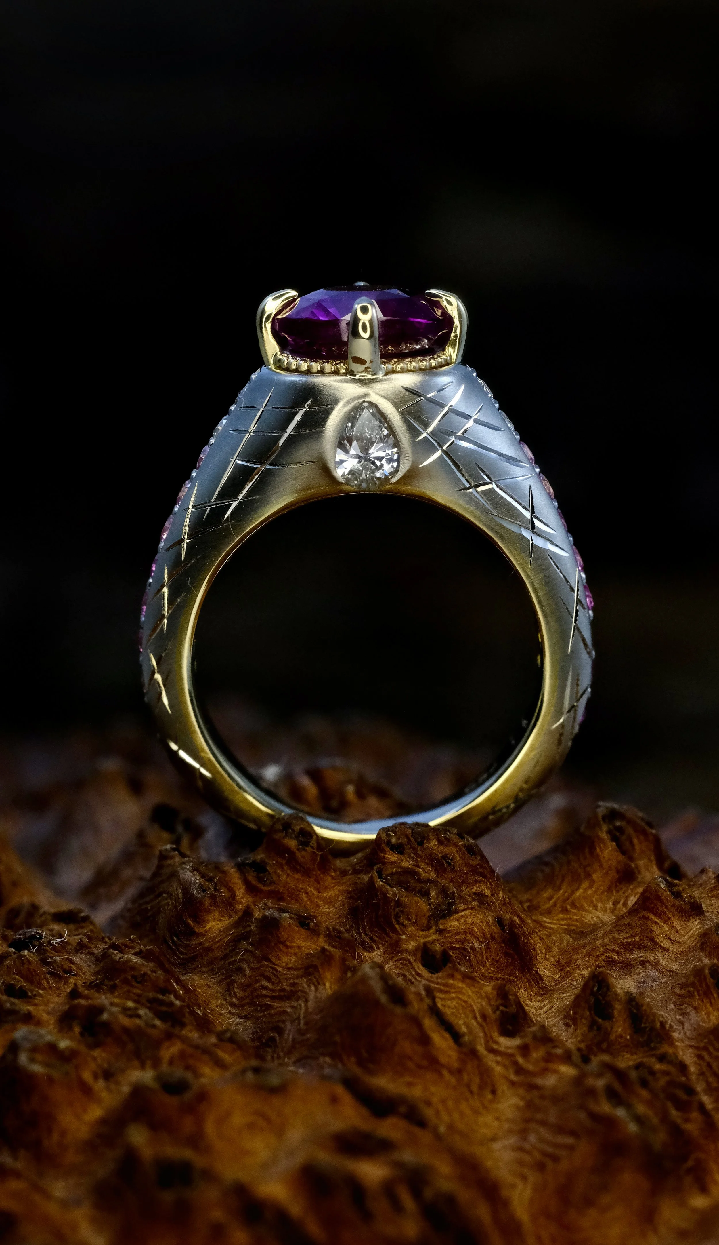 Copy of Cammy Thru Shot.jpg