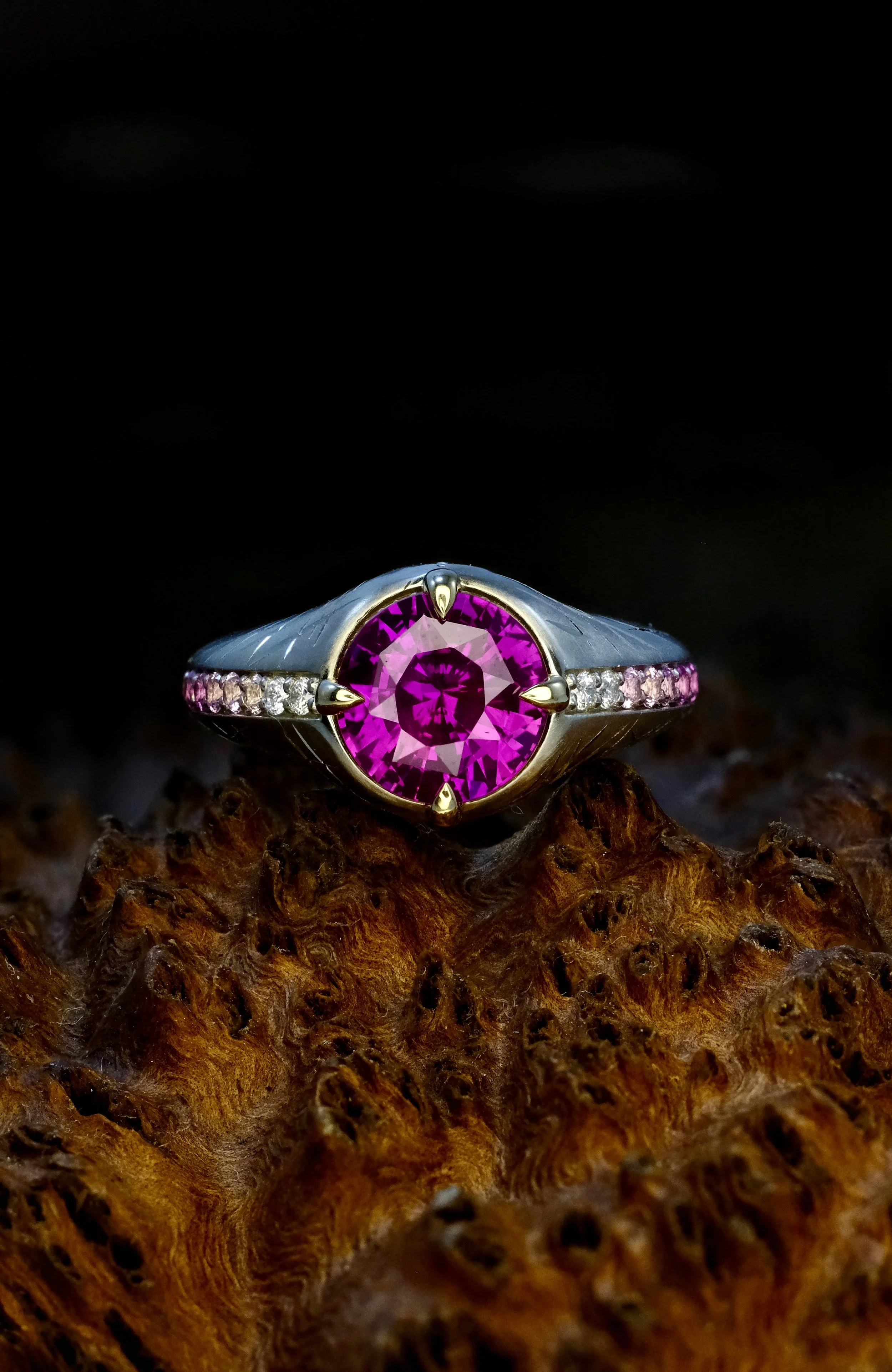 Copy of Cammy Ring Headshot.jpg