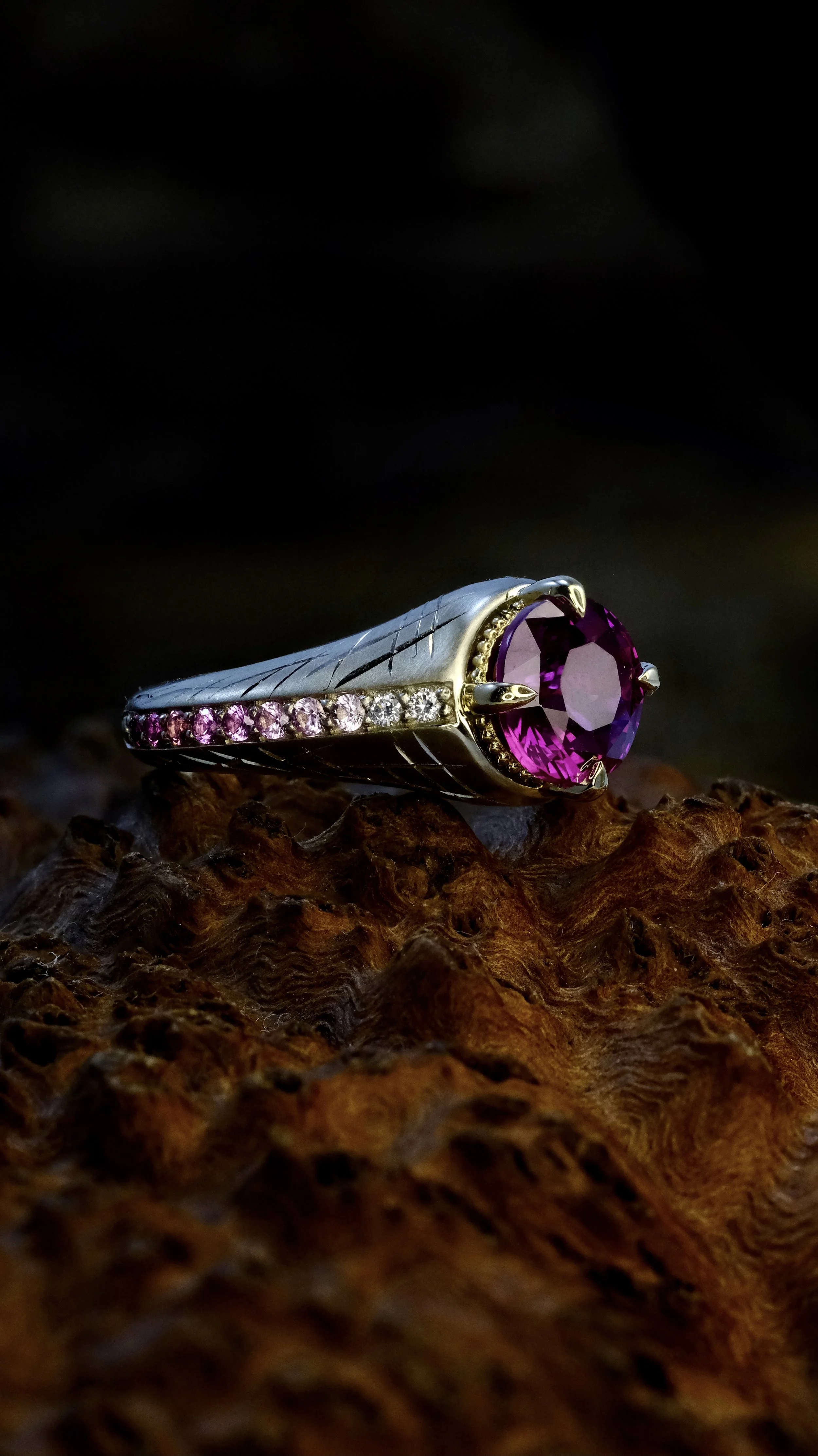 Copy of Cammy Side View.jpg