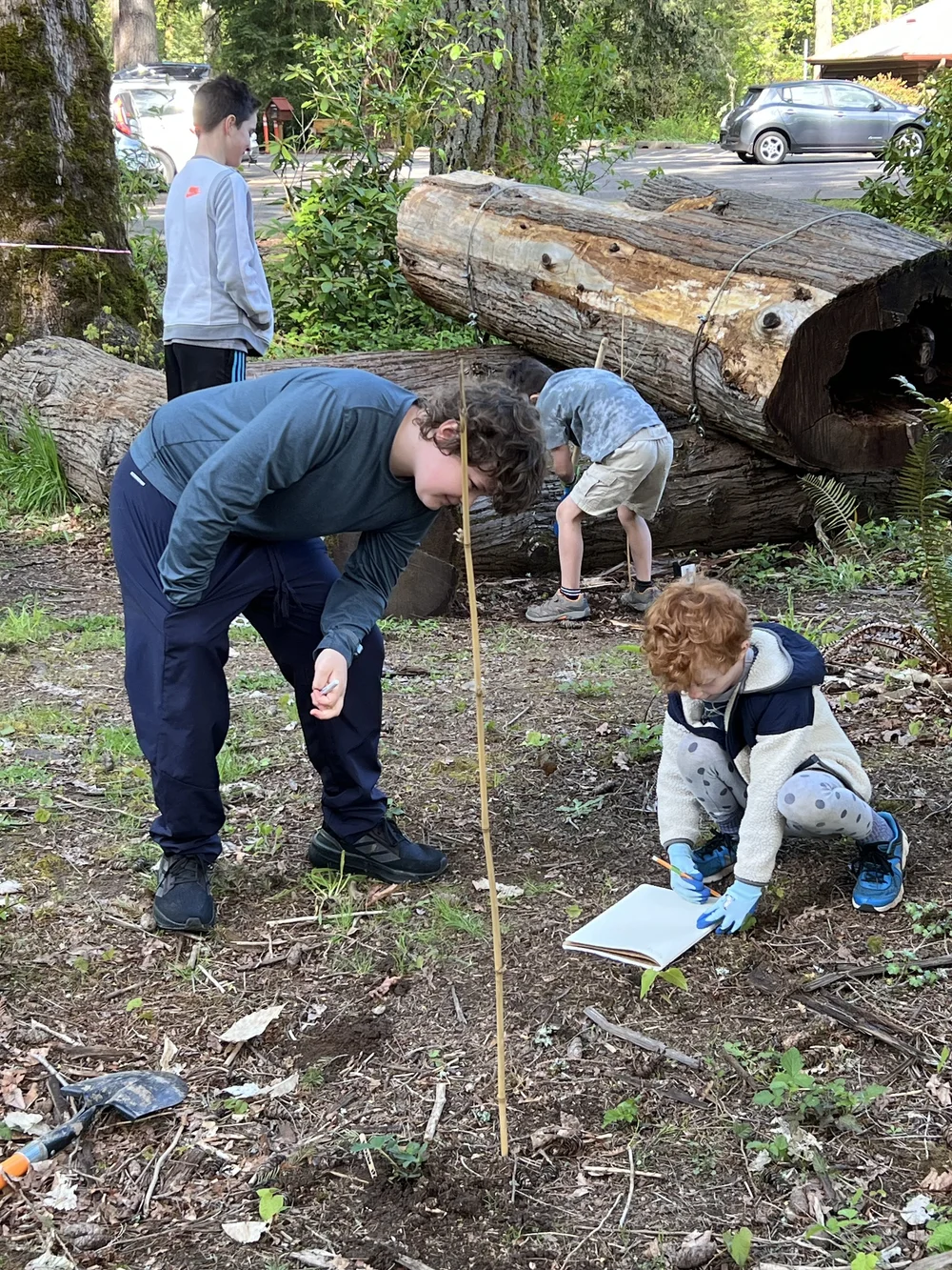 Copy of IMG_4023.jpeg