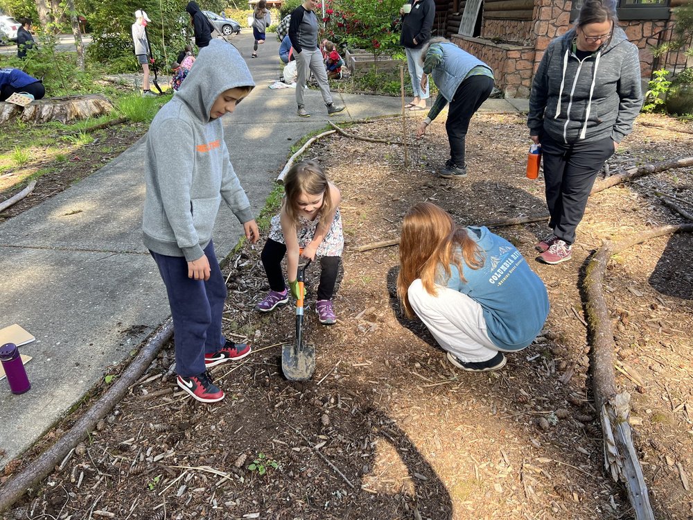 Copy of IMG_4013.jpeg