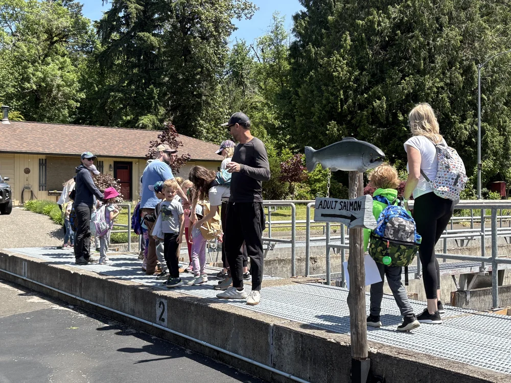 Copy of Copy of IMG_20250523_113451.jpeg