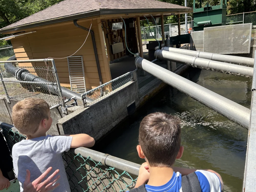 Copy of IMG_20250523_113459.jpeg