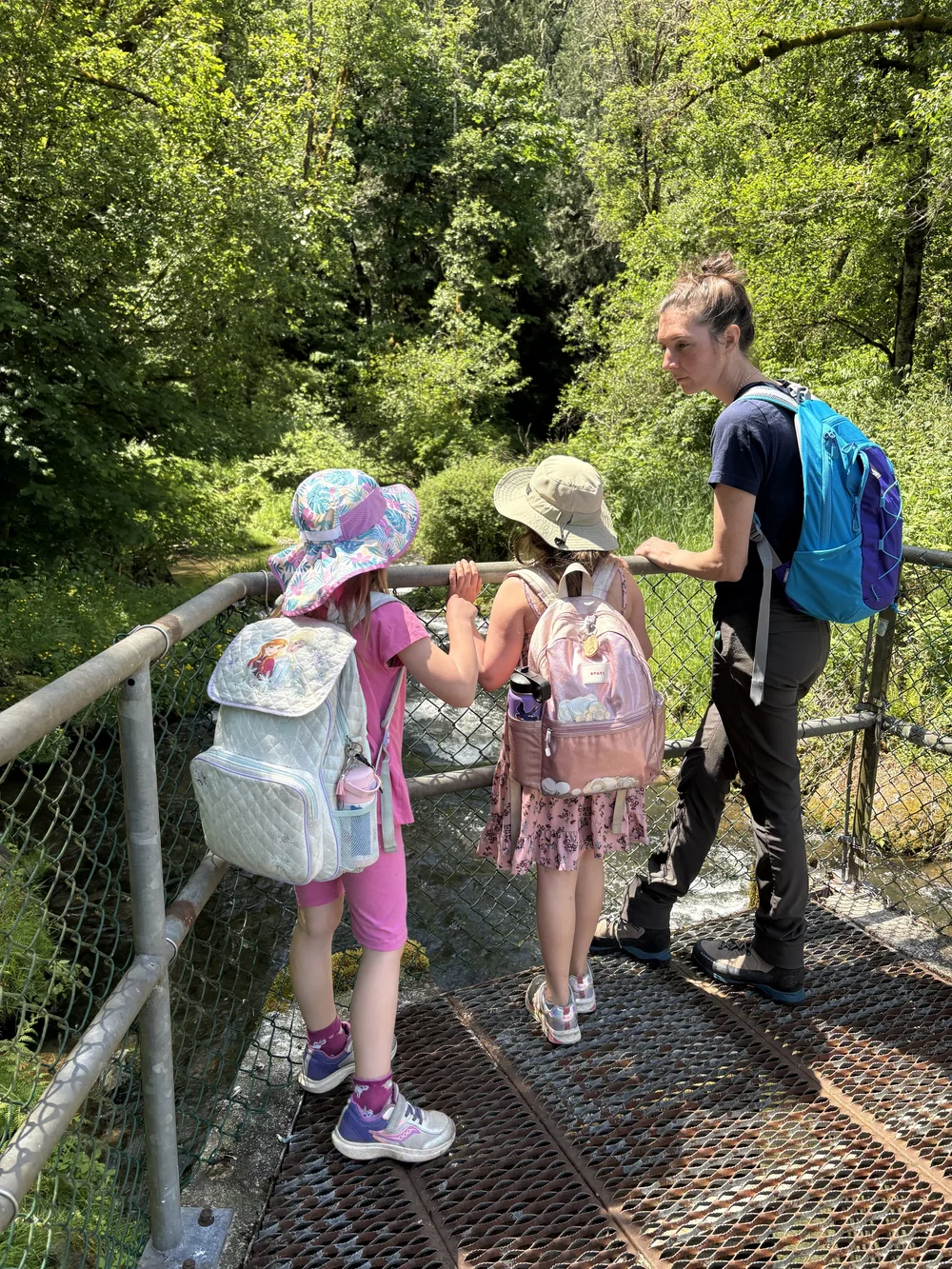 Copy of IMG_20250523_113500.jpeg