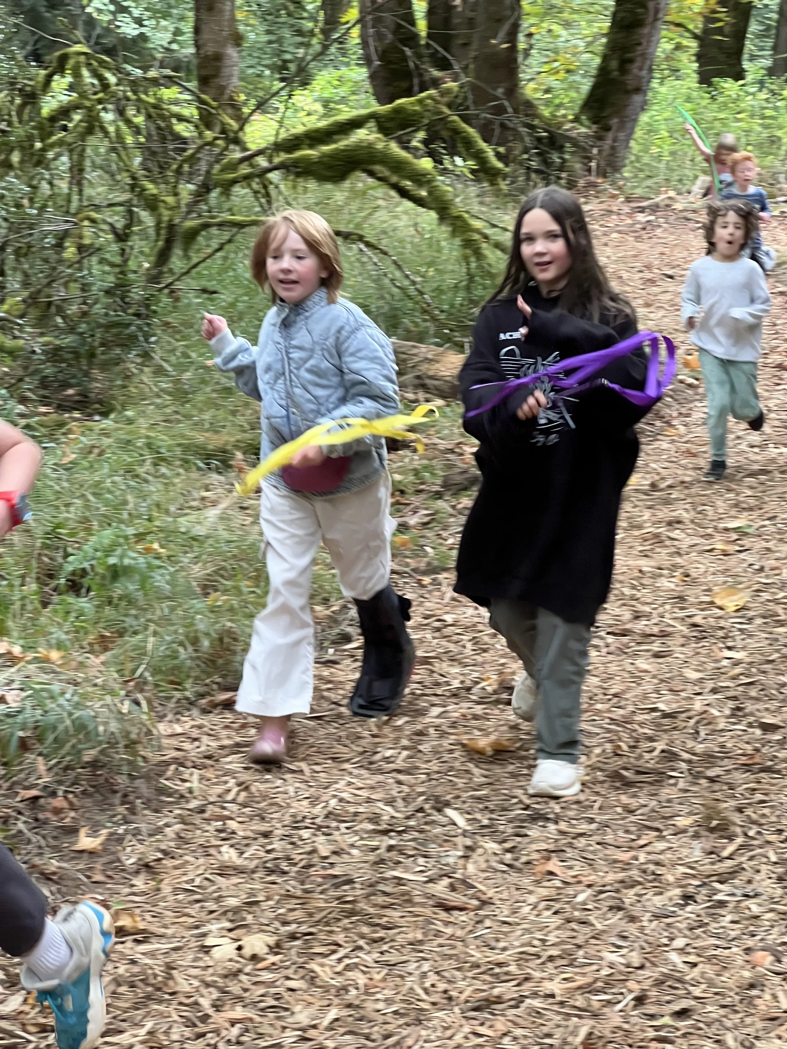 Copy of IMG_9602.jpeg