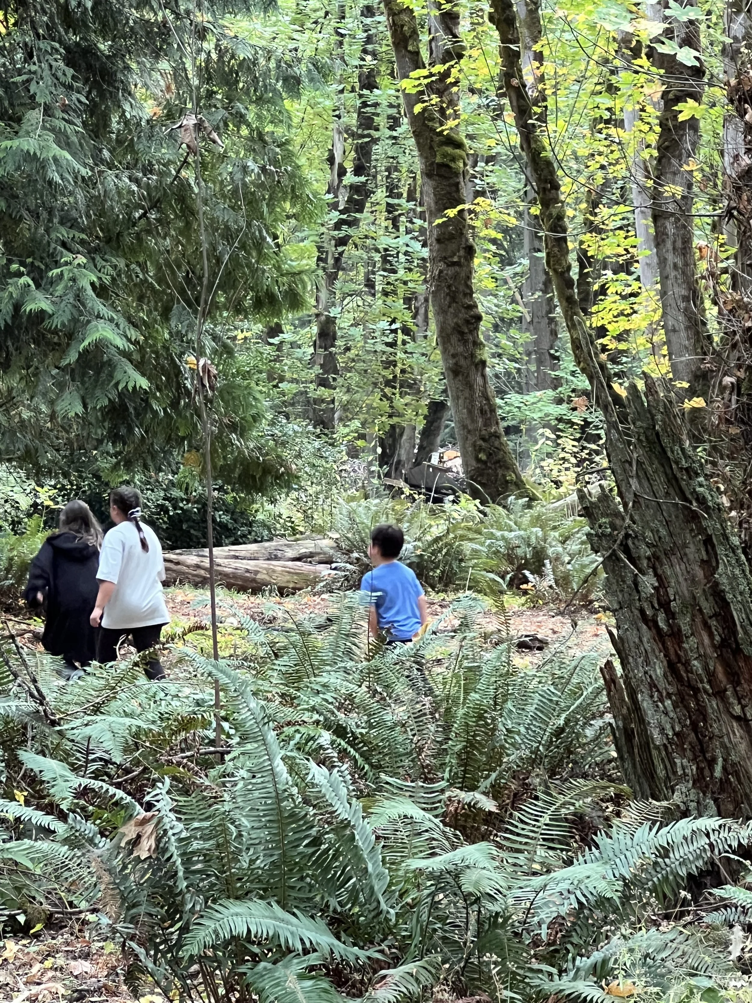 Copy of IMG_9630.jpeg