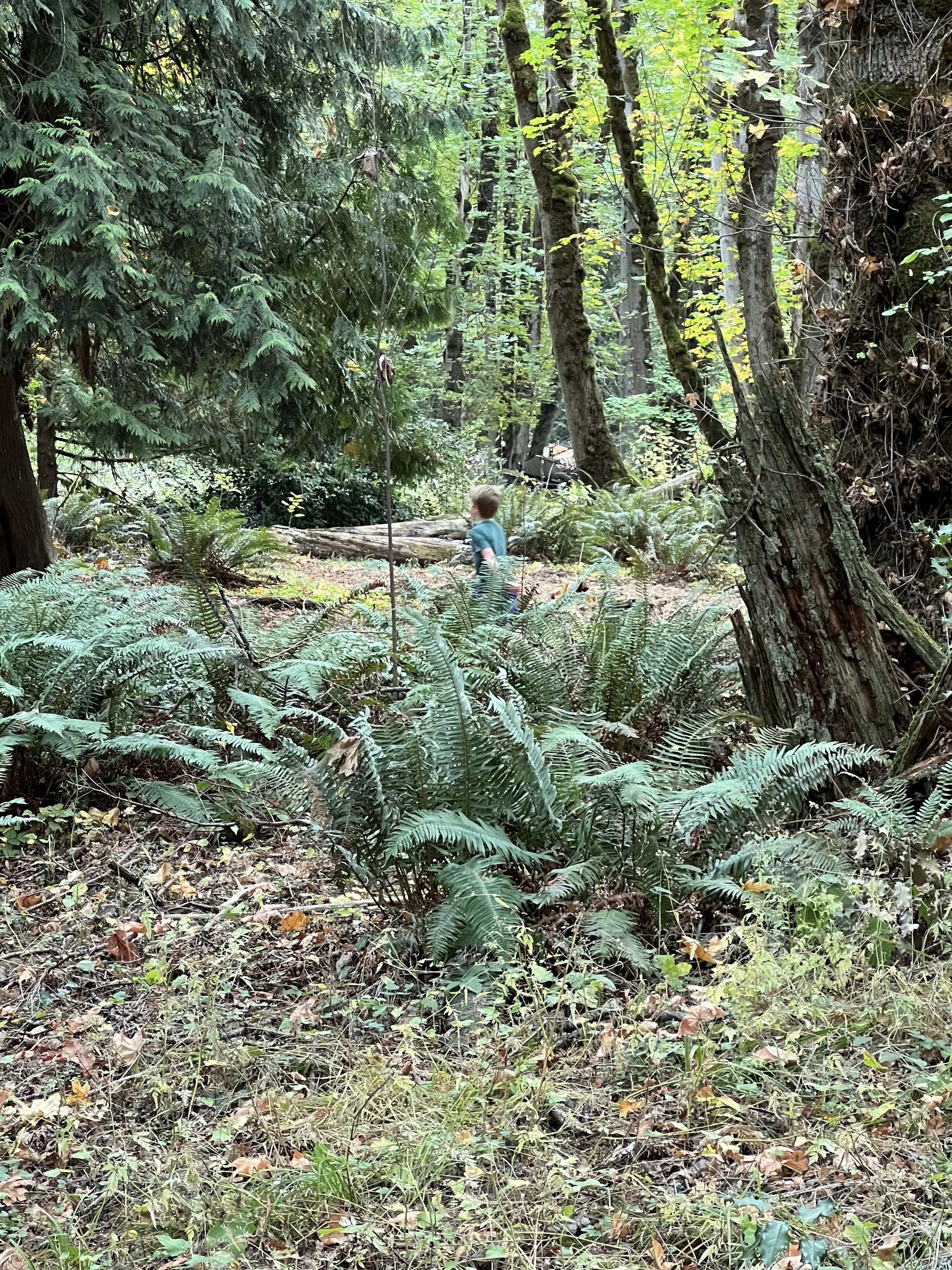 Copy of IMG_9636.jpeg