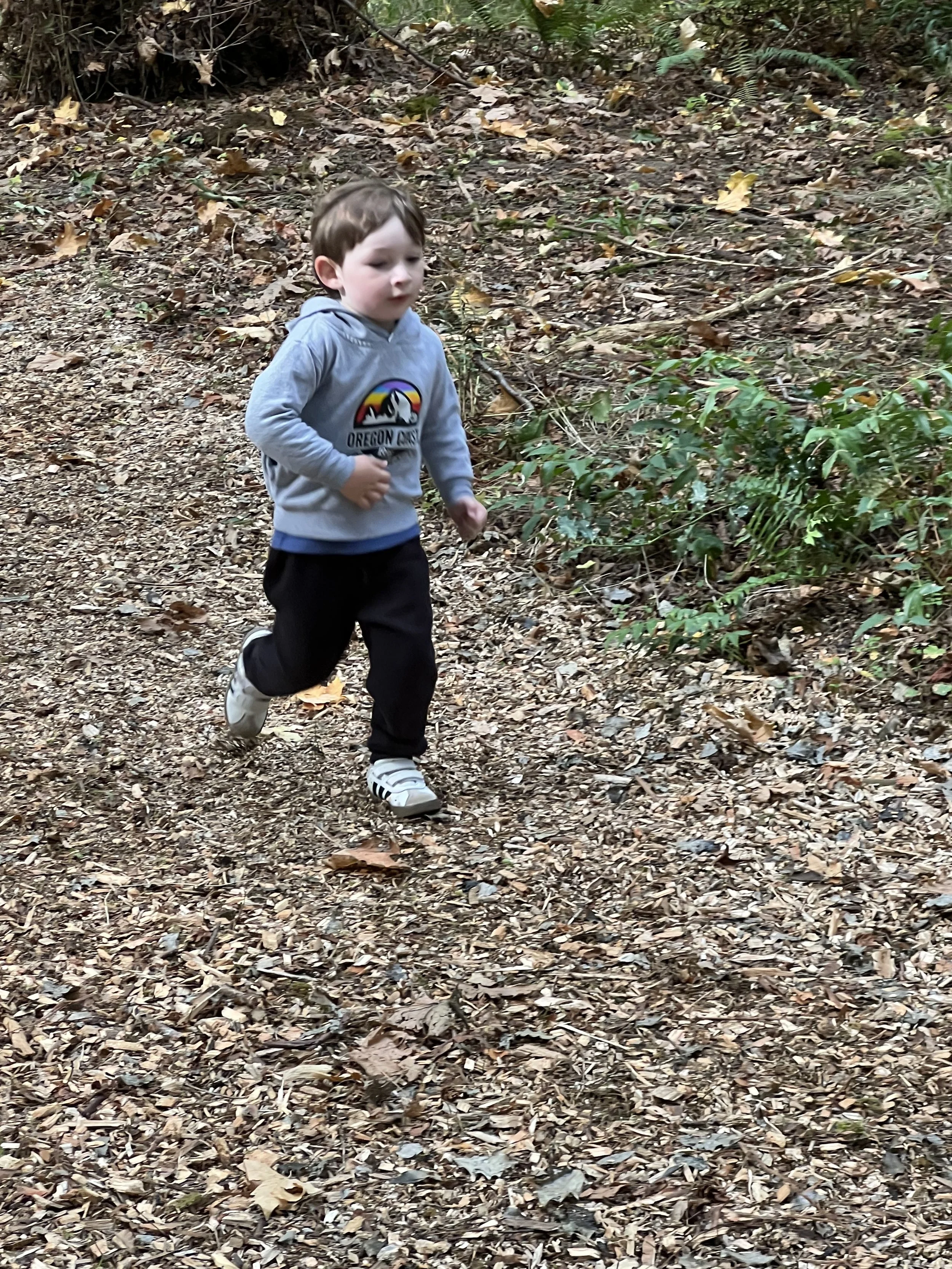 Copy of IMG_9718.jpeg