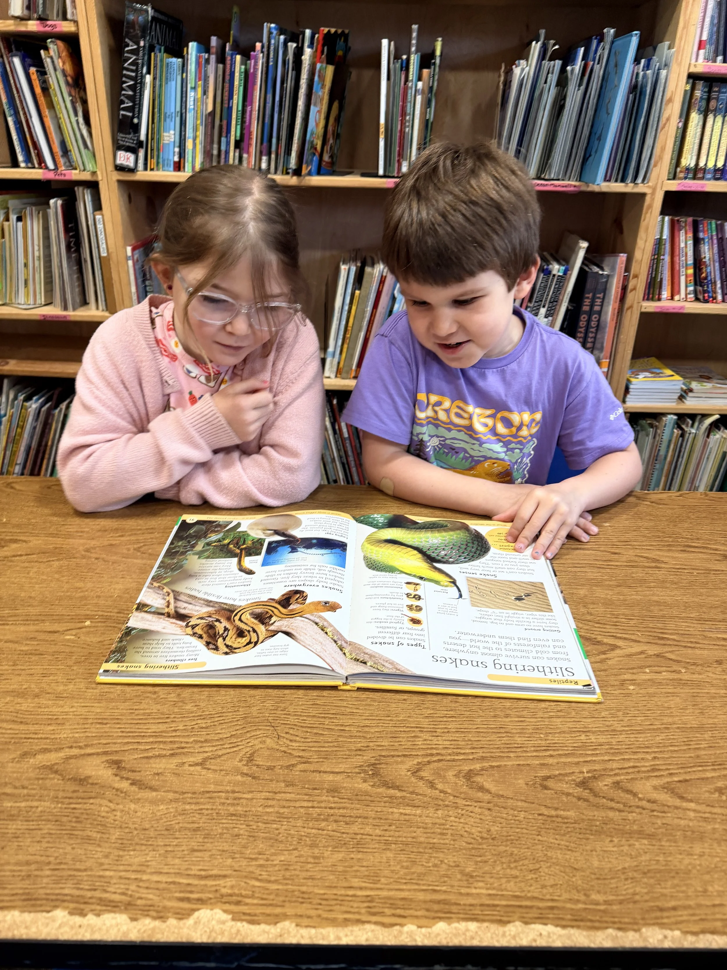 Invest in Stories That Matter