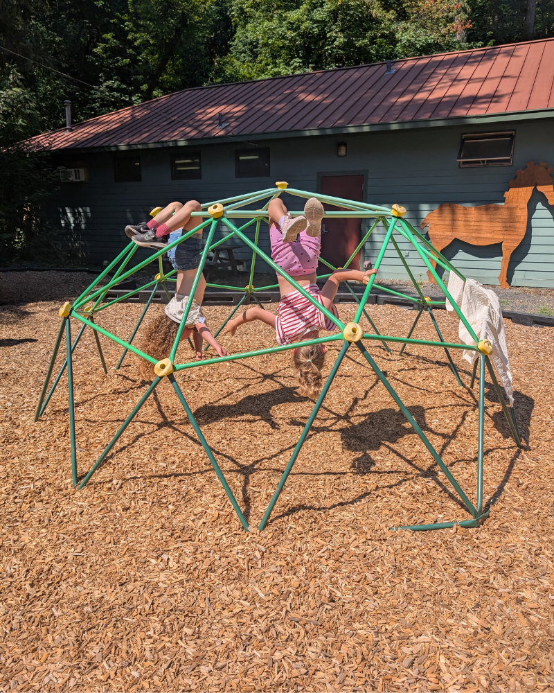 Some of the Best Learning Happens in Summer&nbsp;