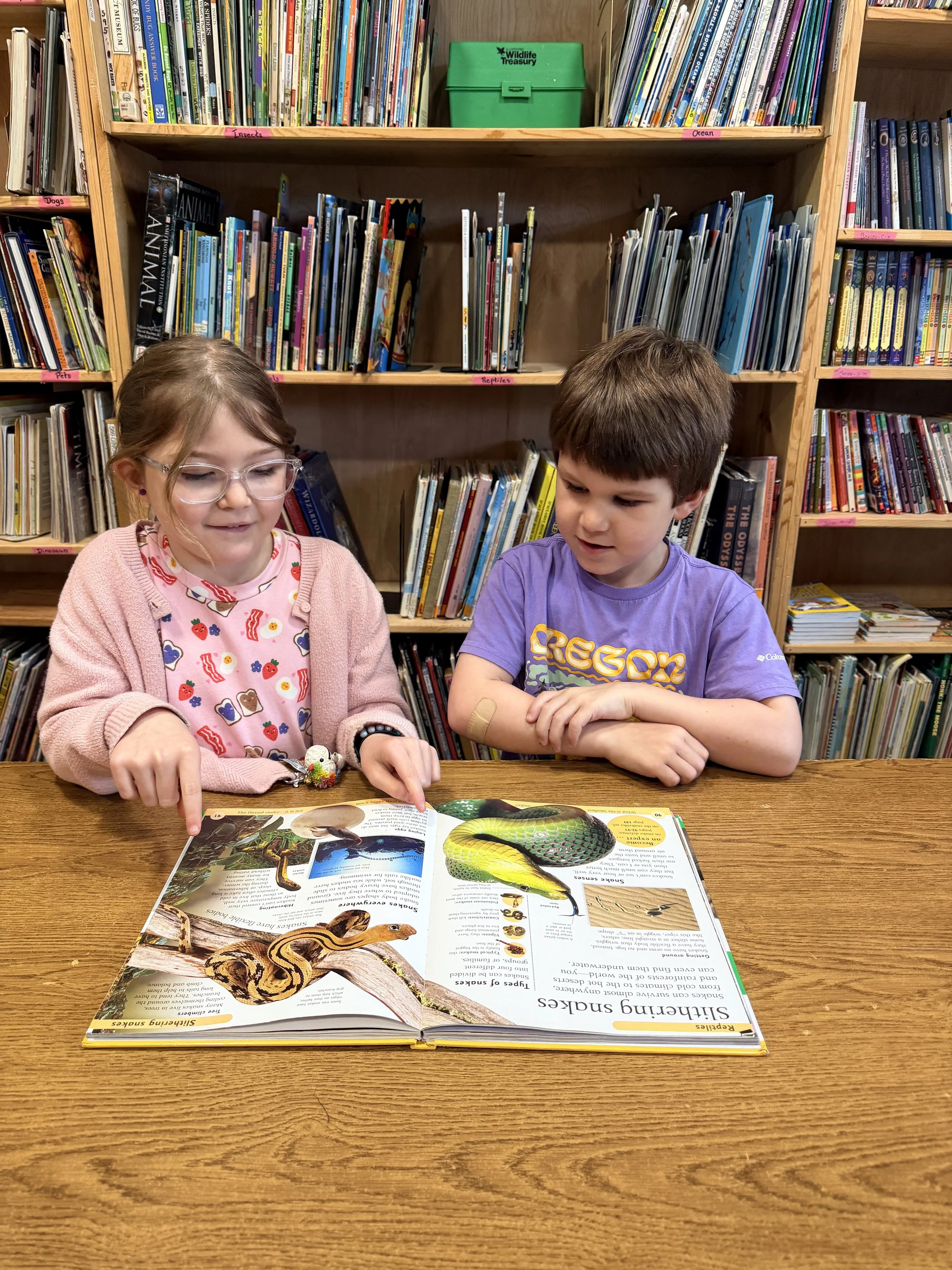 Making Room for Curiosity This Summer