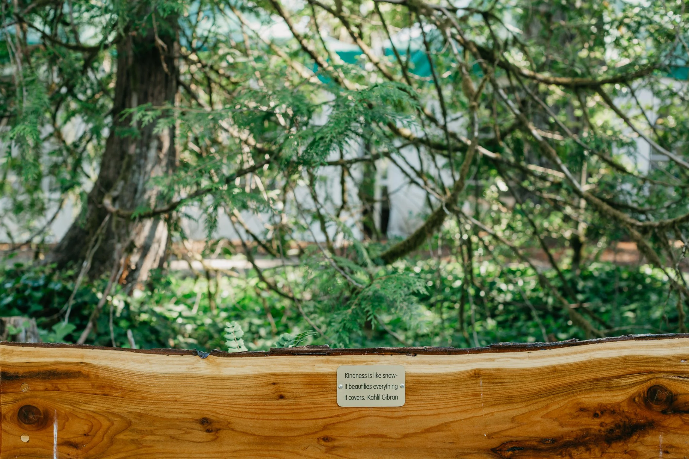 About Us — The Marylhurst School